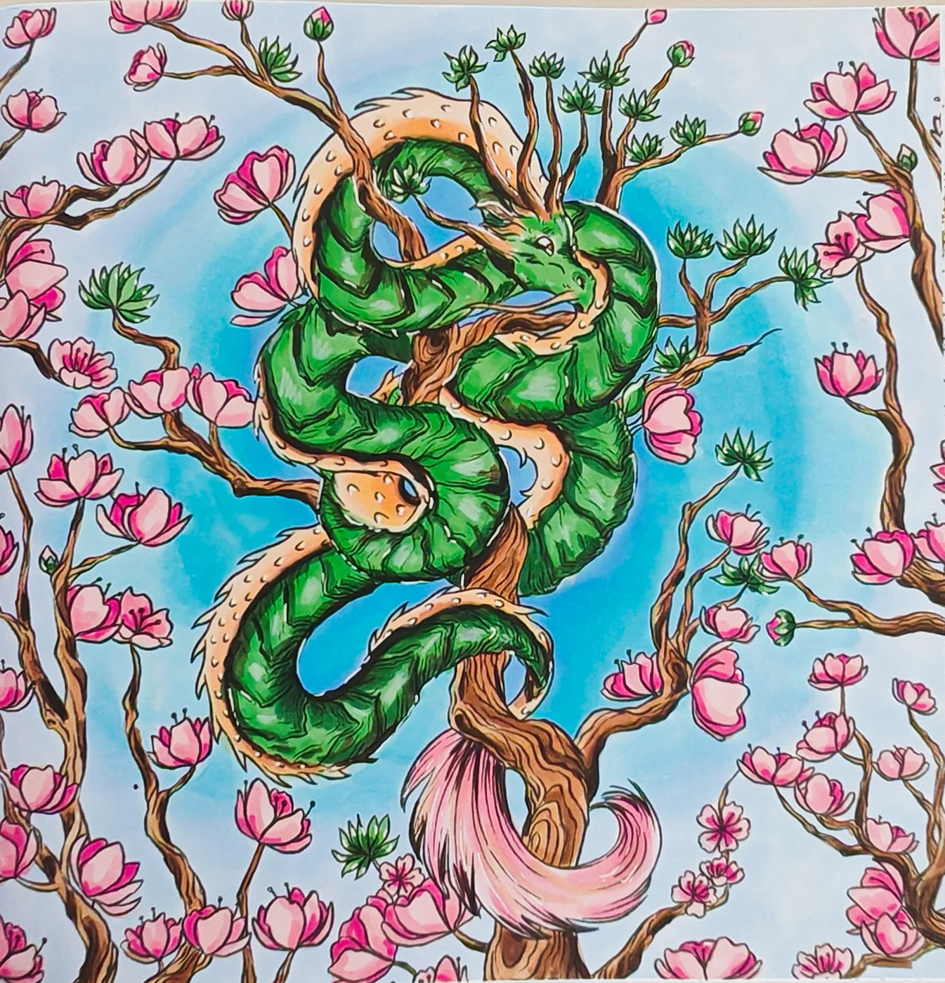 TODO — description de dragonsdumonde-03.webp