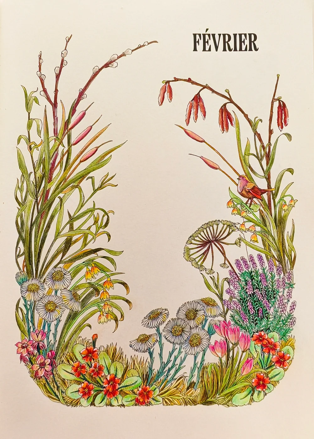 Floralies