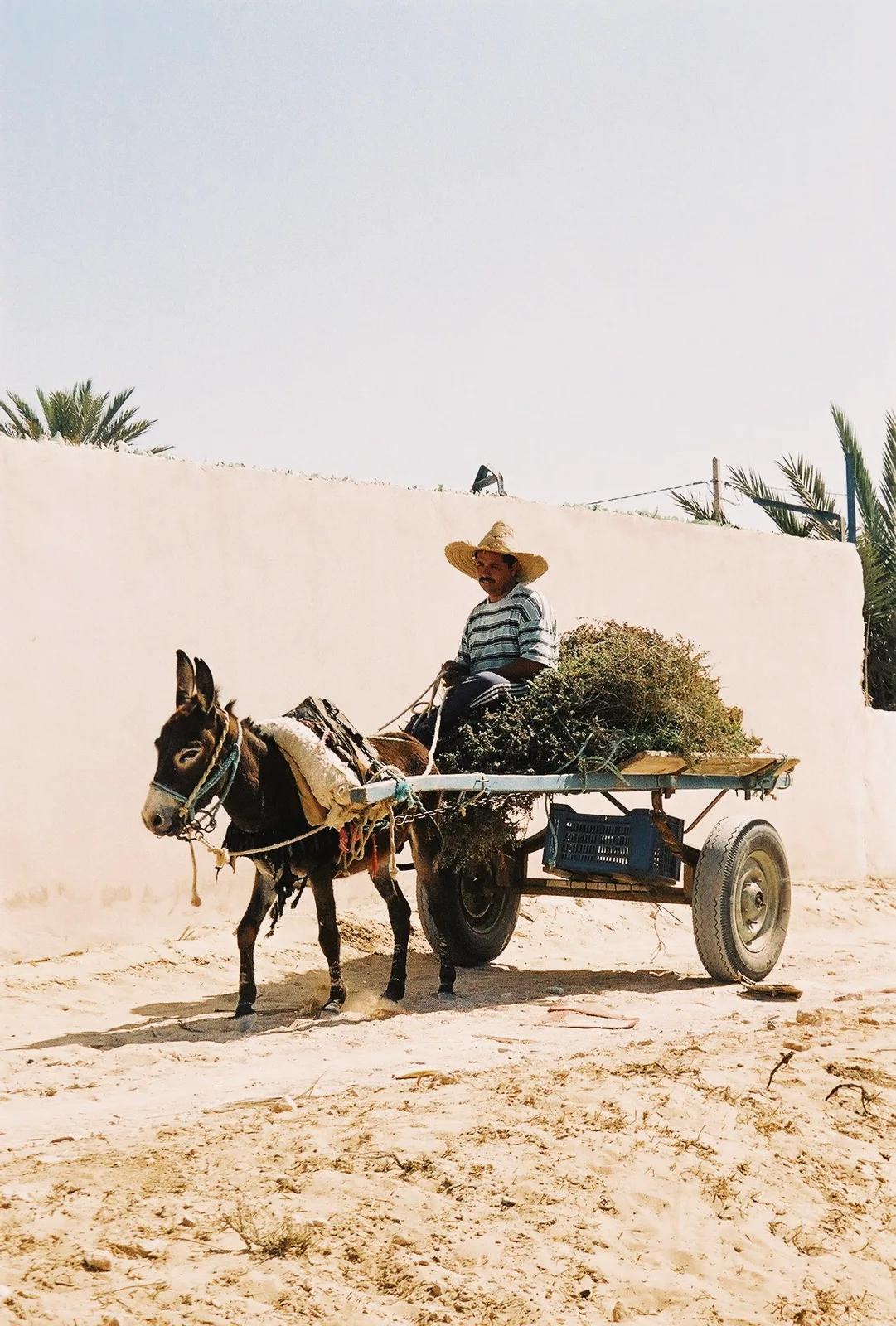 TODO — description de 2005-06-tunisie-03.webp
