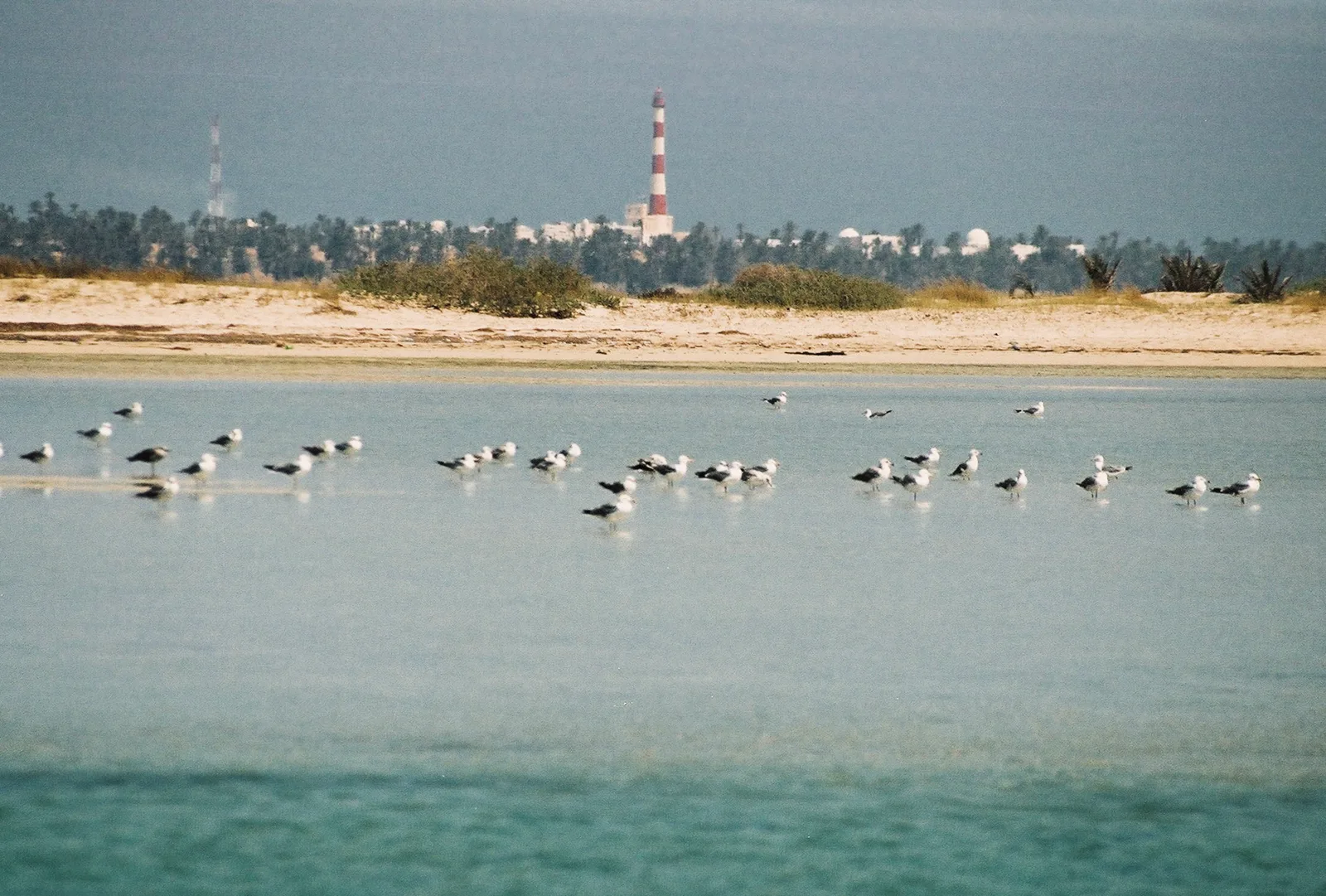 TODO — description de 2005-06-tunisie-06.webp