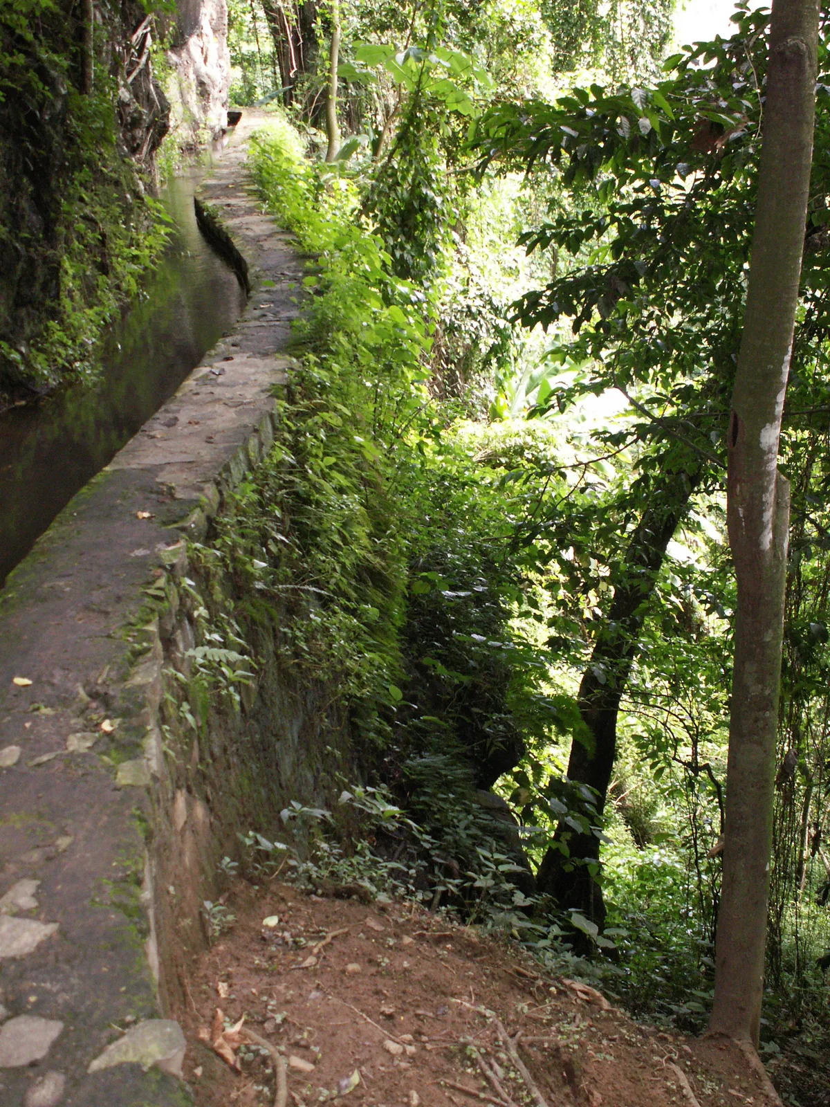 2006 Martinique