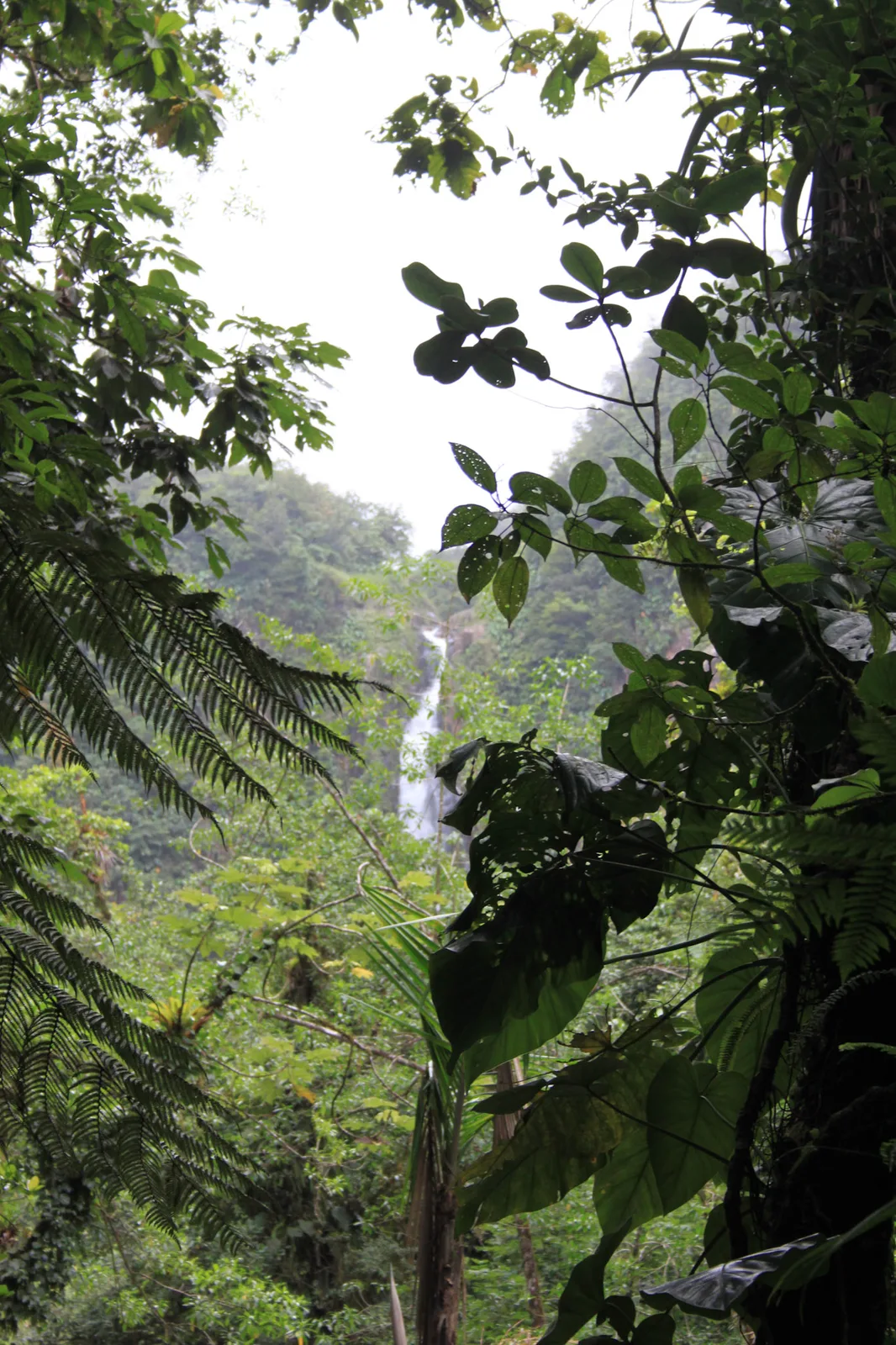 TODO — description de 2012-08-guadeloupe-04.webp