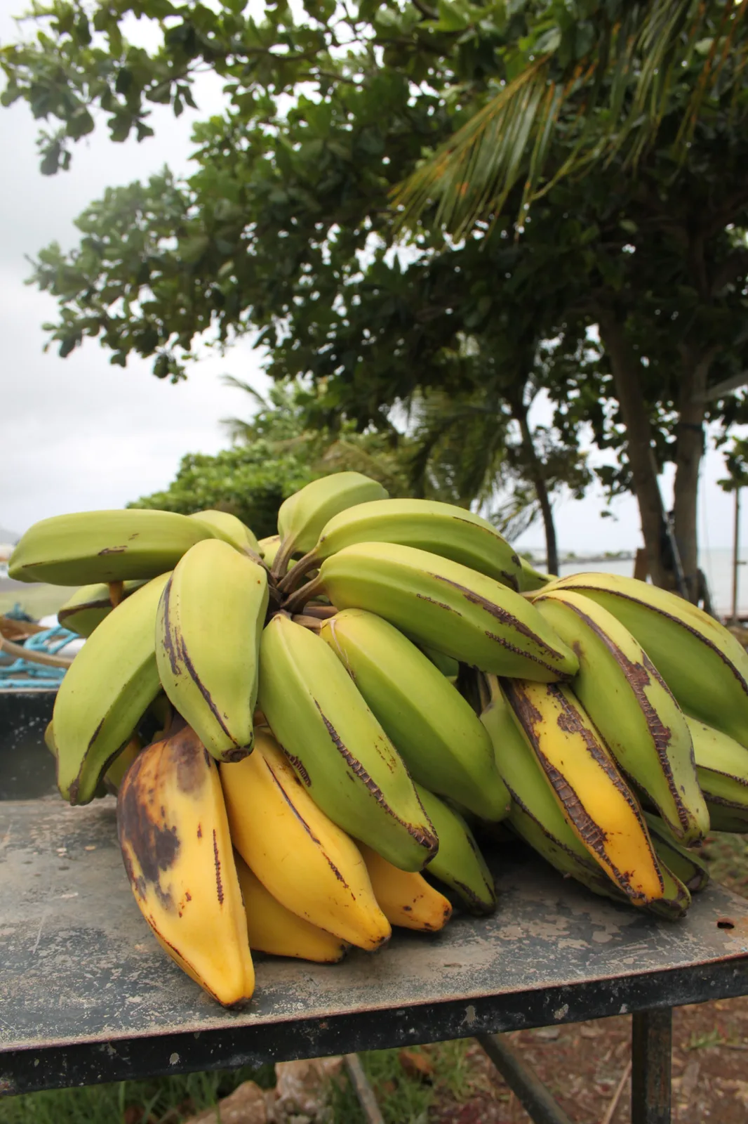 TODO — description de 2012-08-guadeloupe-12.webp