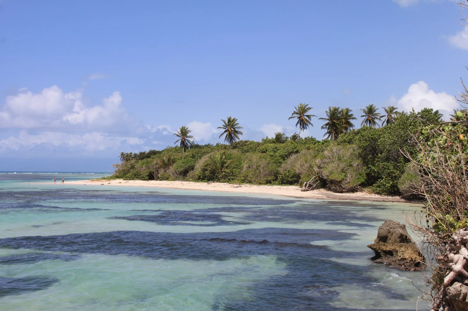 TODO — description de 2012-08-guadeloupe-14.webp