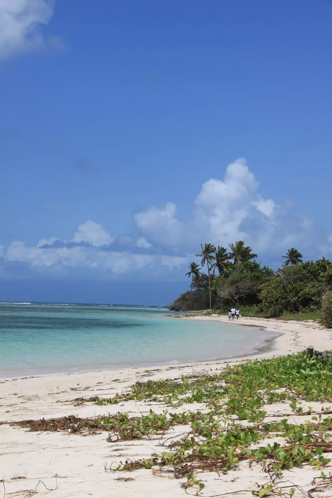 TODO — description de 2012-08-guadeloupe-15.webp