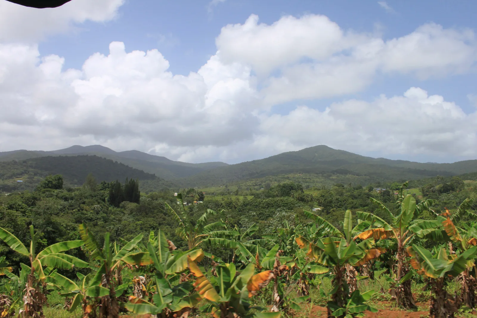 TODO — description de 2012-08-guadeloupe-28.webp