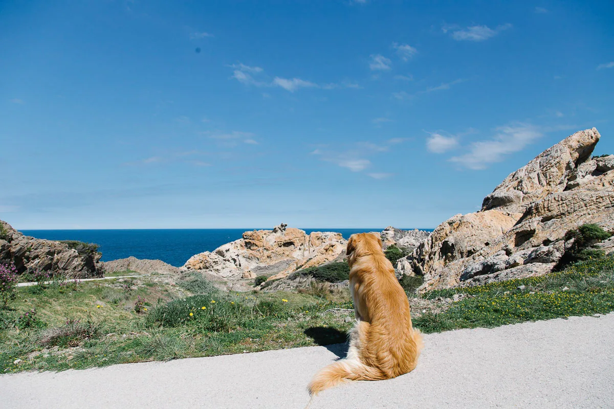 TODO — description de 2016-04-catalogne-23.webp