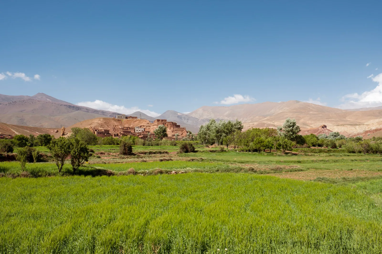 TODO — description de 2017-04-maroc-17.webp
