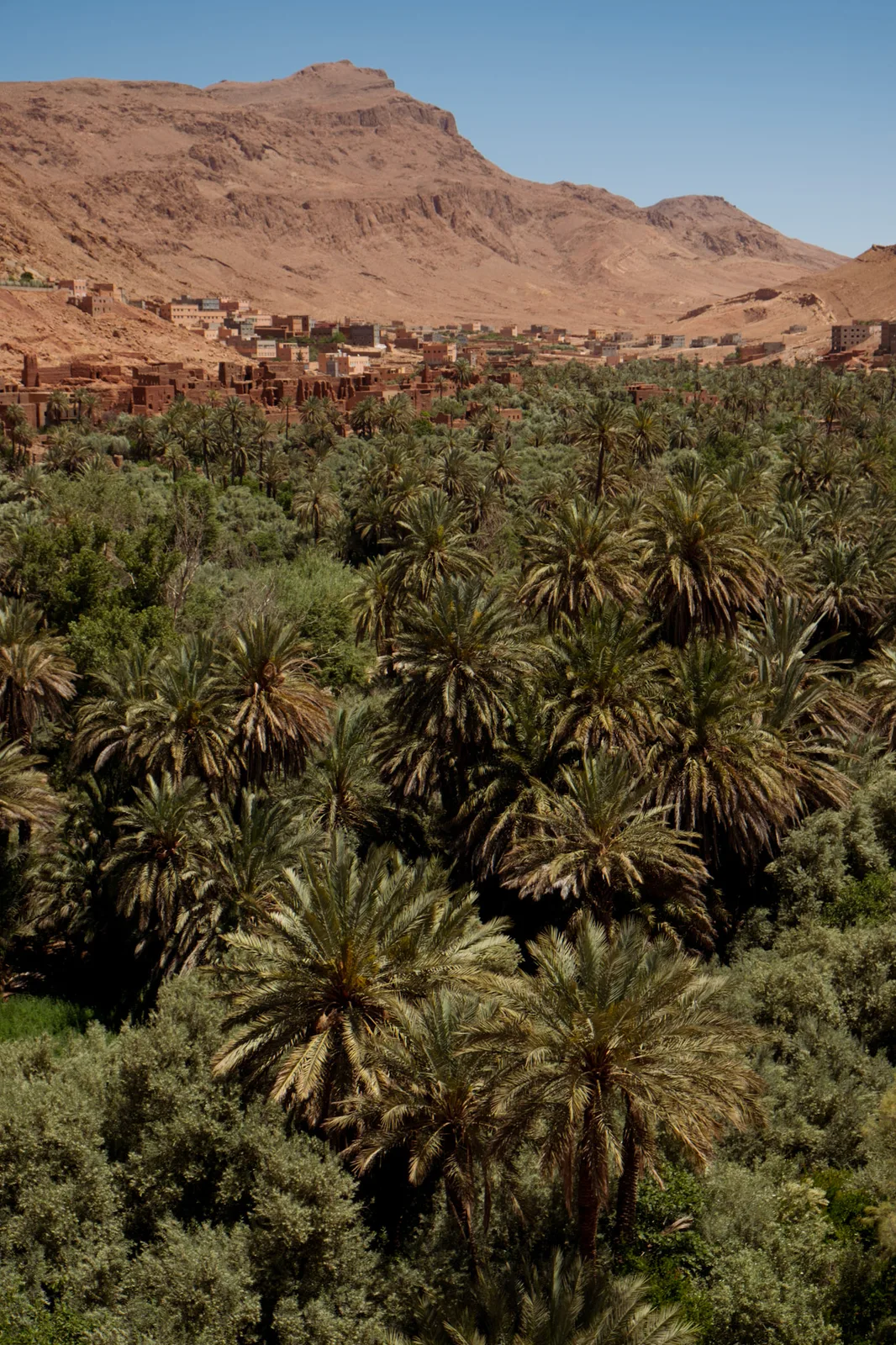 TODO — description de 2017-04-maroc-28.webp