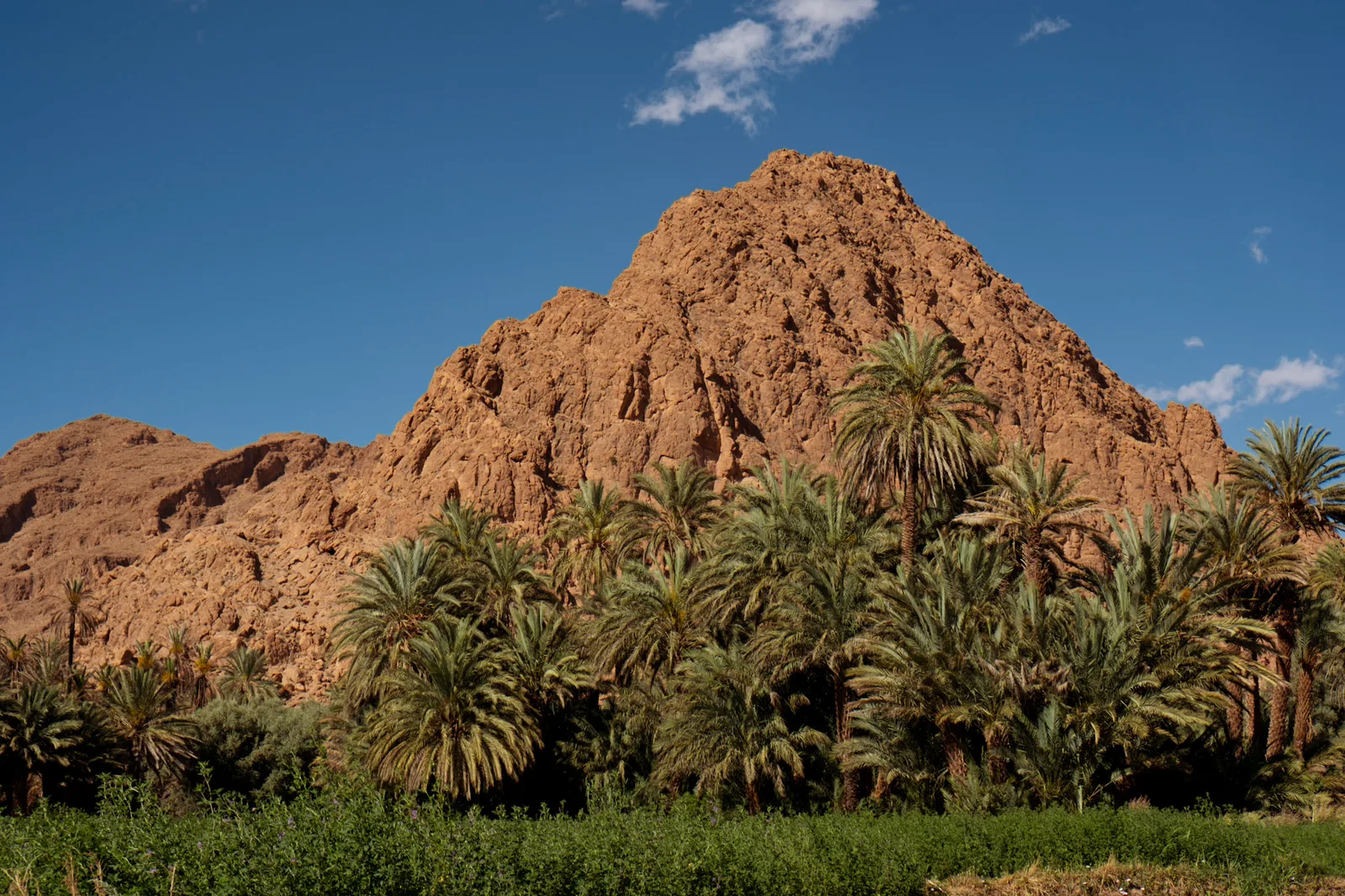 TODO — description de 2017-04-maroc-30.webp