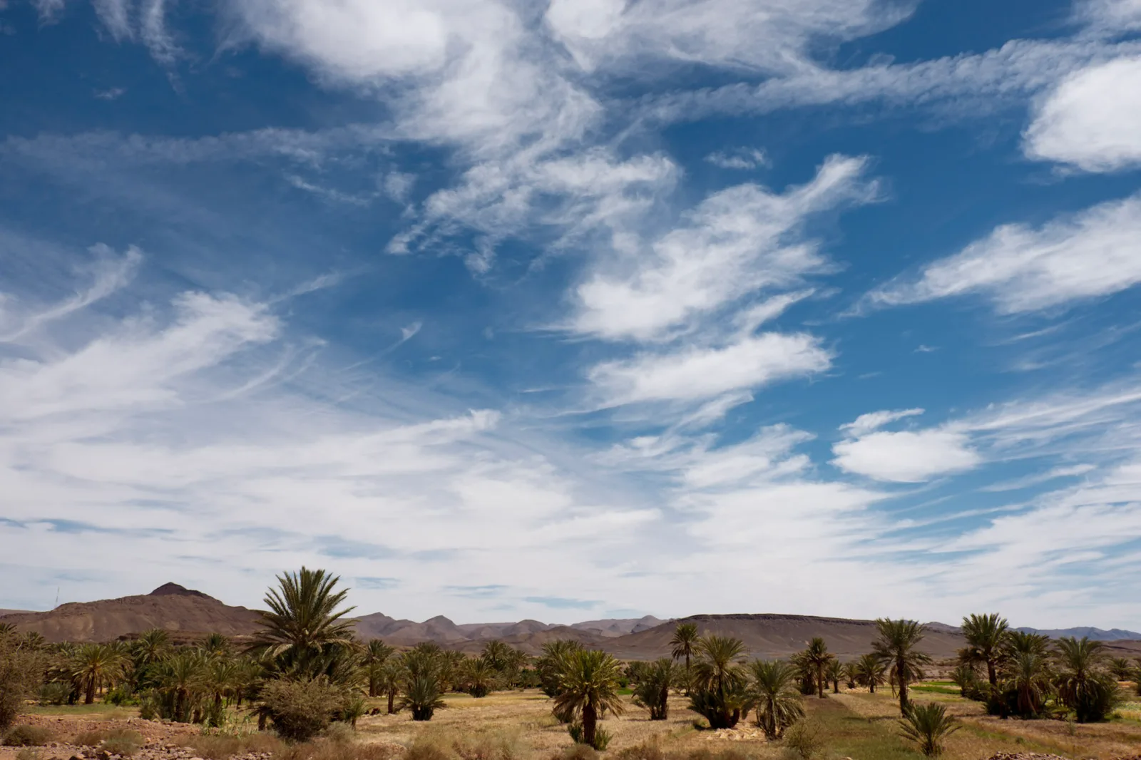 TODO — description de 2017-04-maroc-31.webp