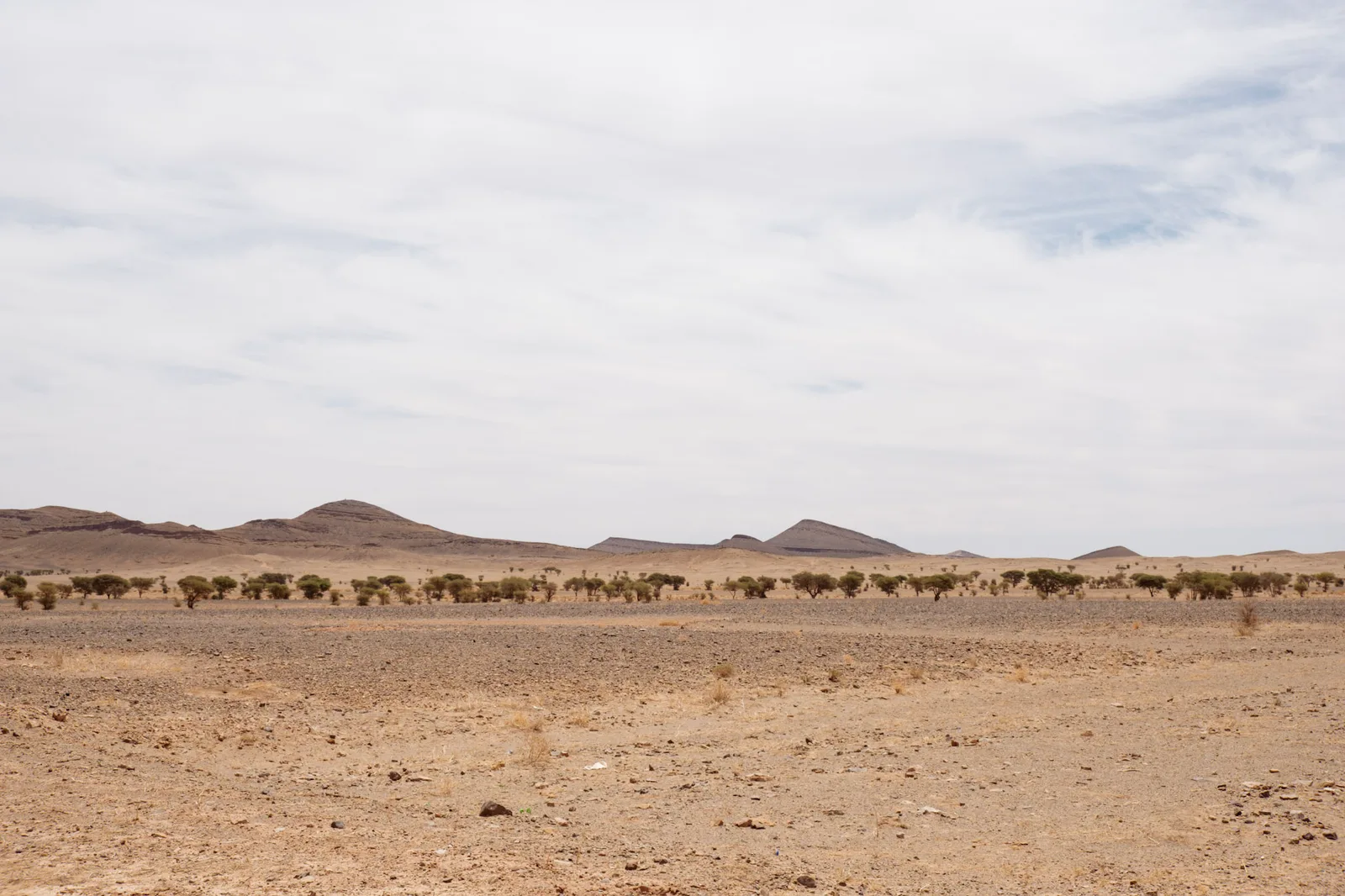 TODO — description de 2017-04-maroc-32.webp