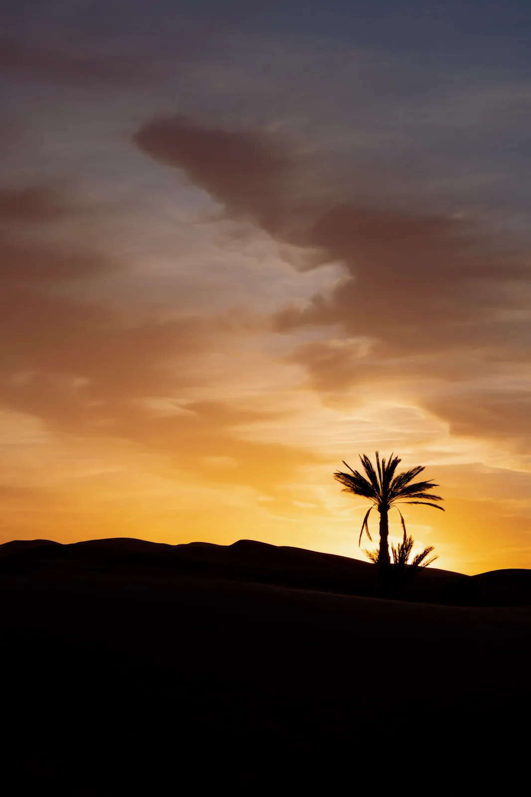 TODO — description de 2017-04-maroc-39.webp