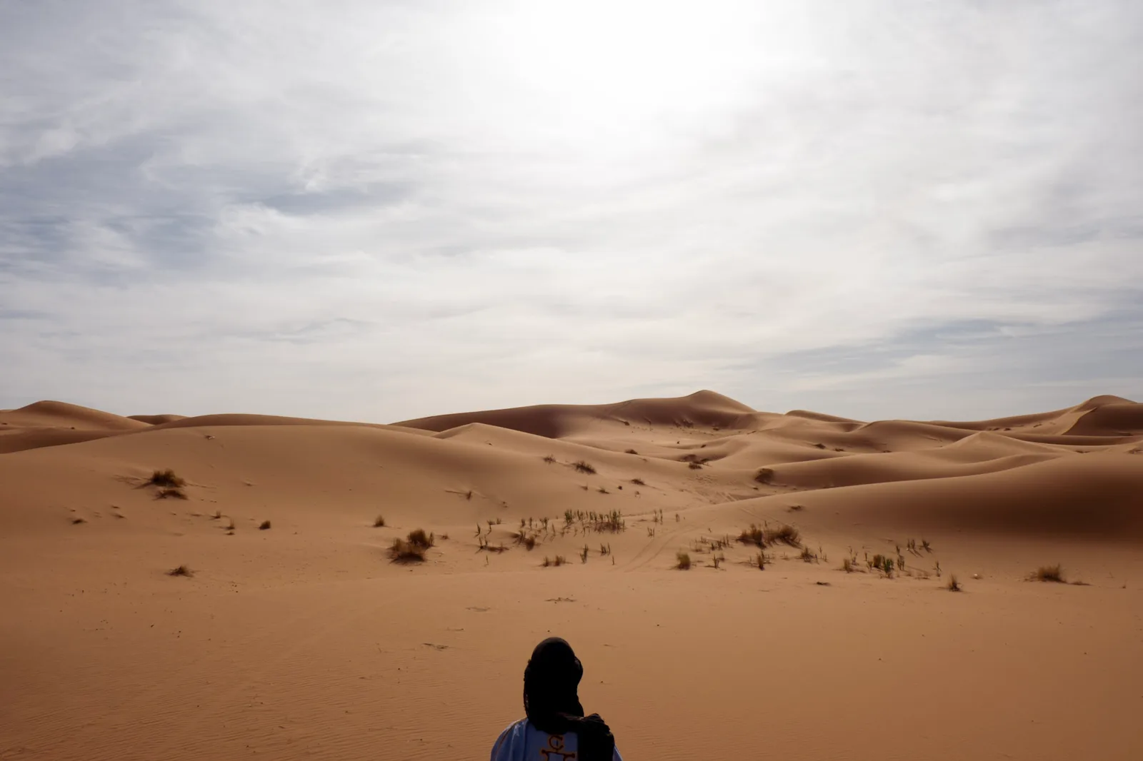 TODO — description de 2017-04-maroc-40.webp