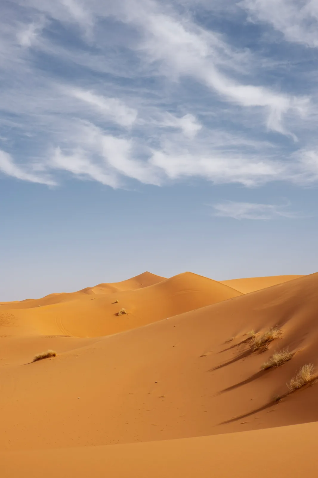 TODO — description de 2017-04-maroc-42.webp