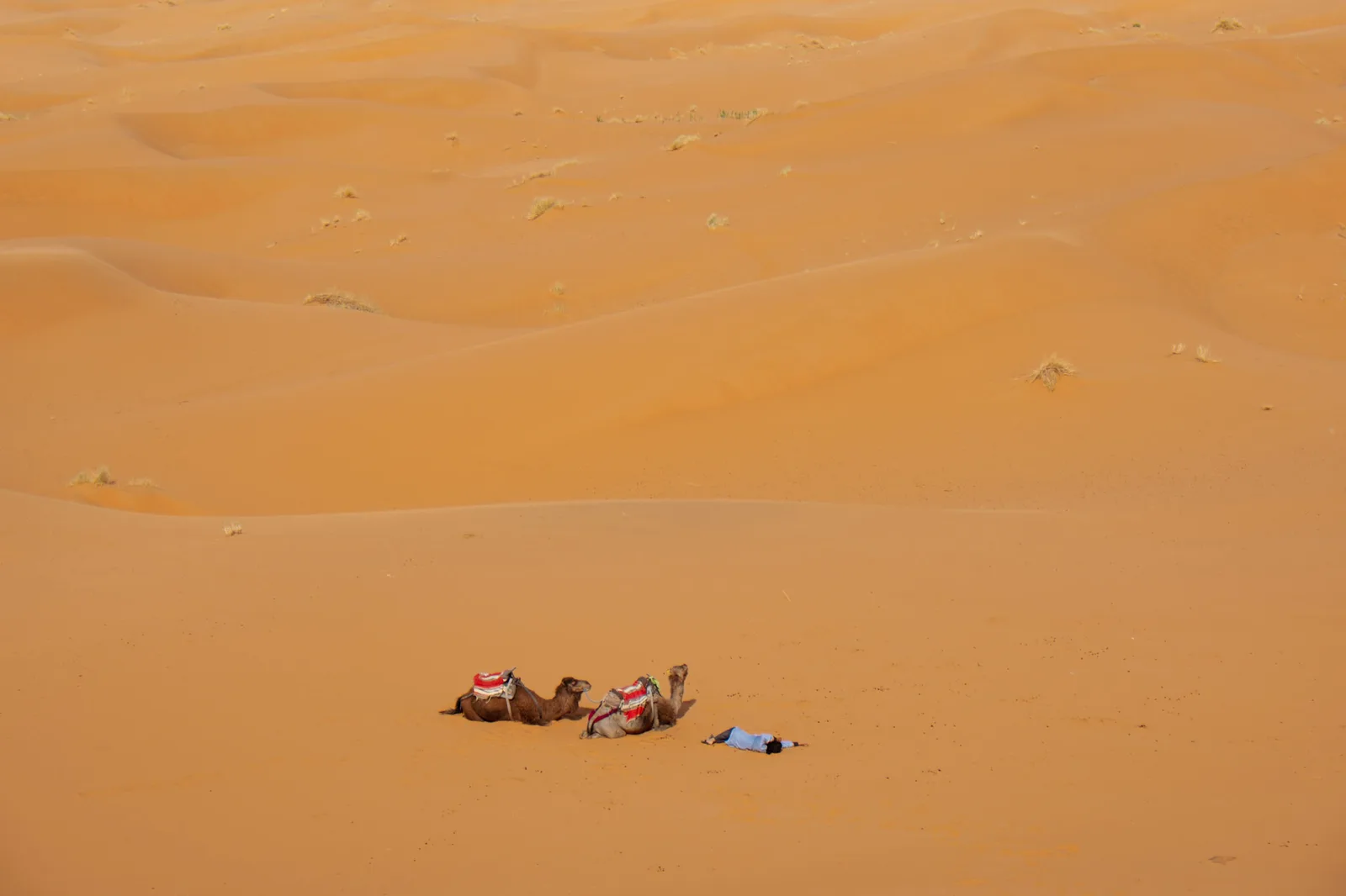 TODO — description de 2017-04-maroc-43.webp
