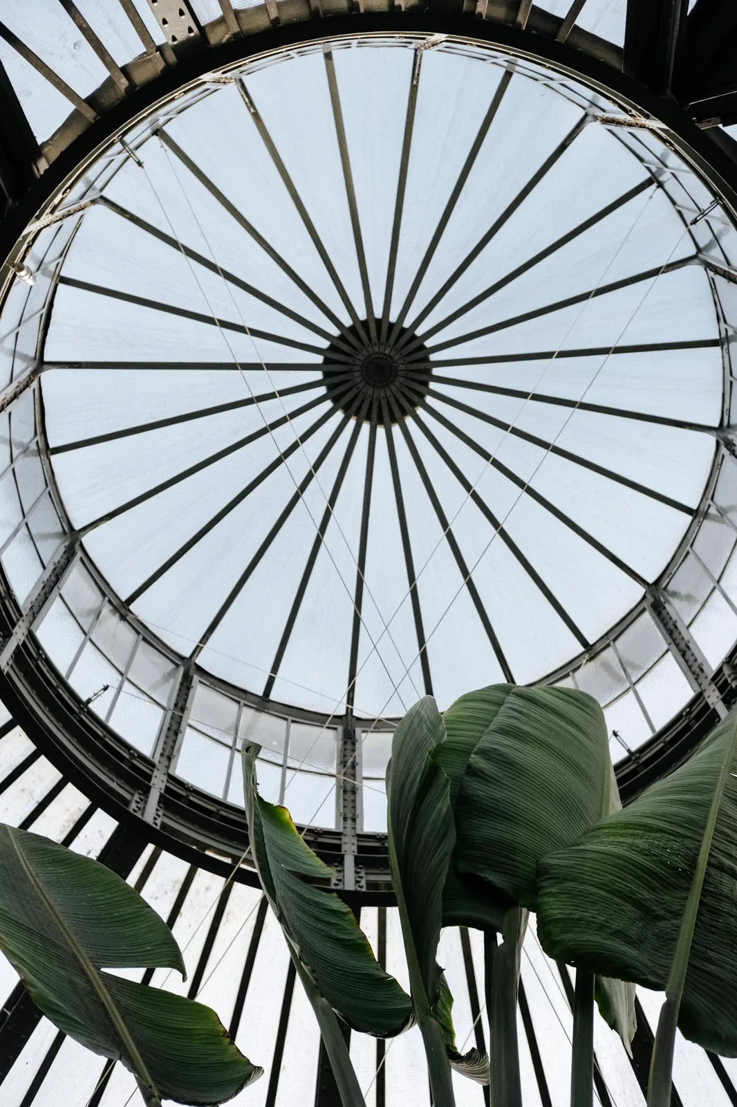 TODO — description de 2017-11-amesterdam-02.webp