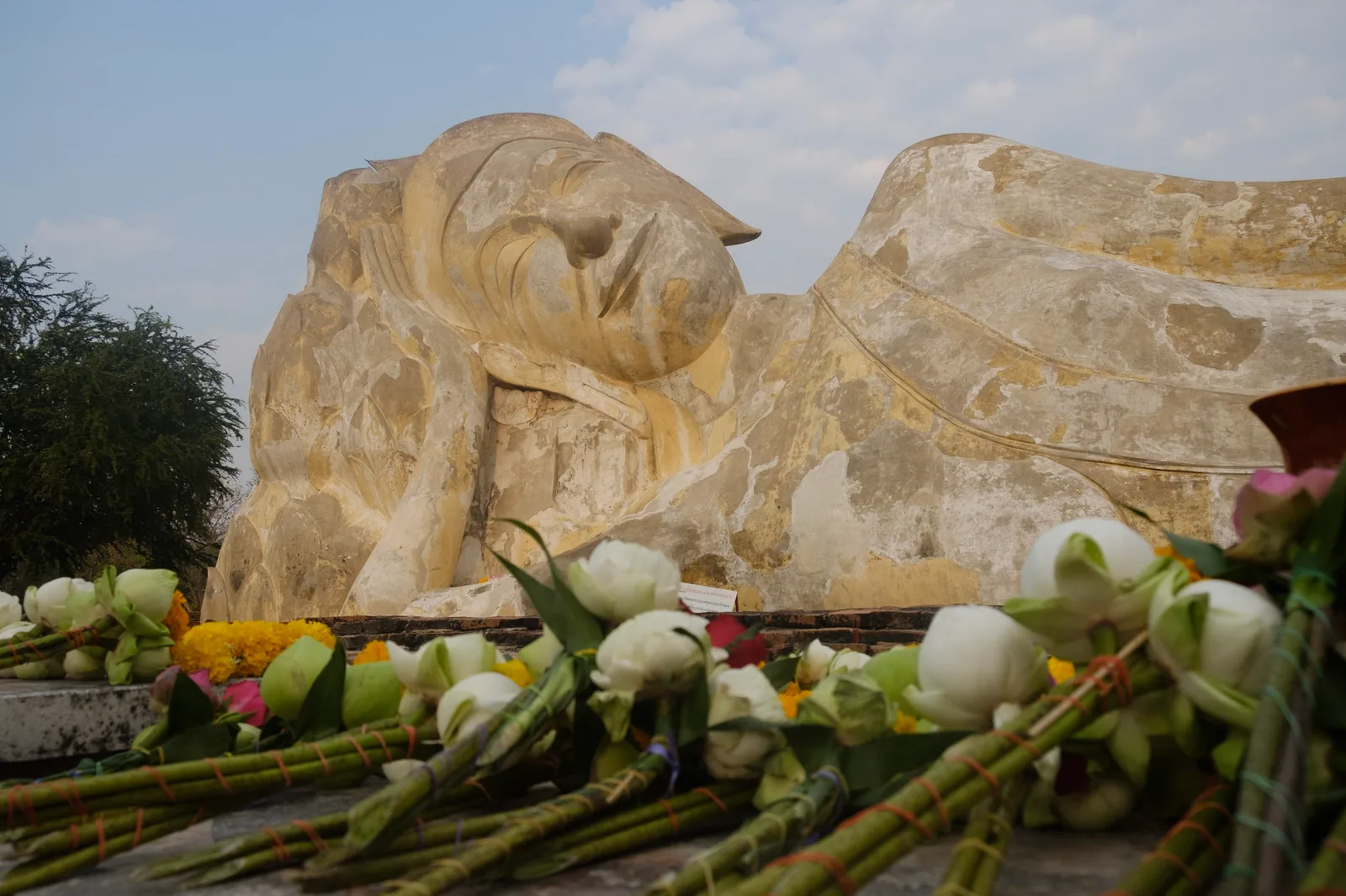 TODO — description de 2018-02-thailande-04.webp