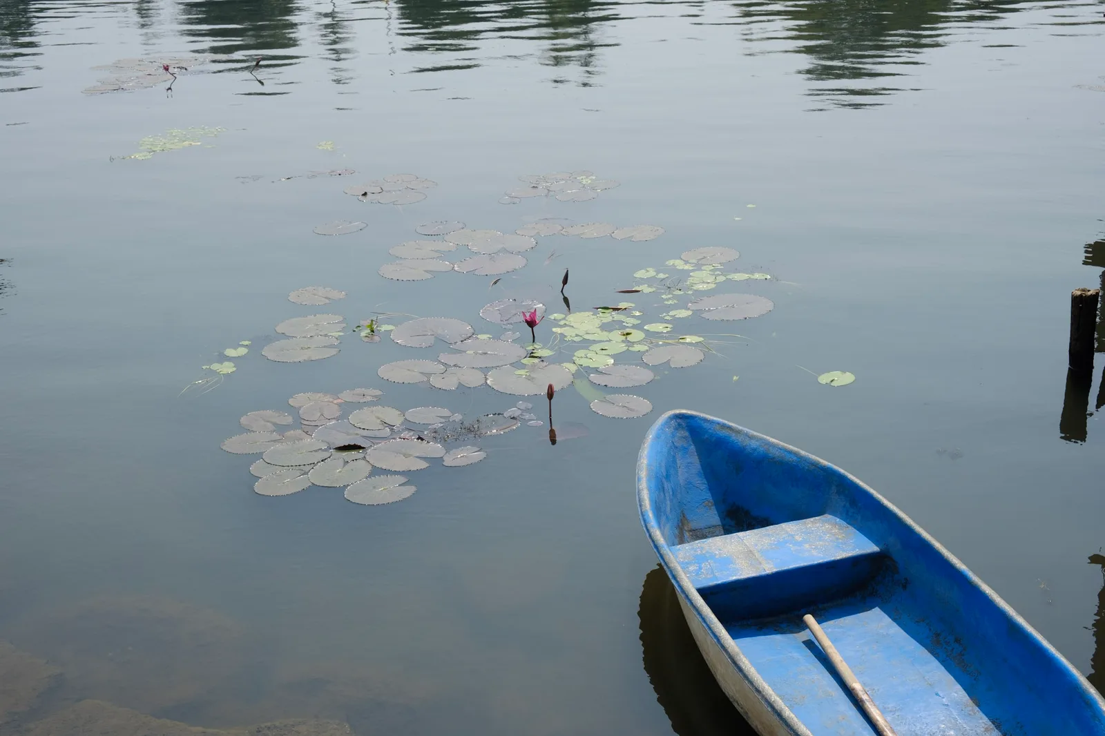 TODO — description de 2018-02-thailande-08.webp