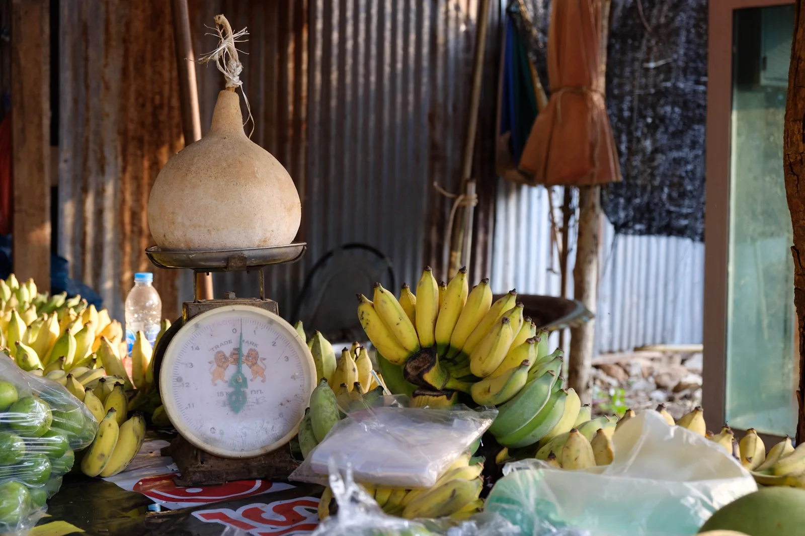 TODO — description de 2018-02-thailande-15.webp