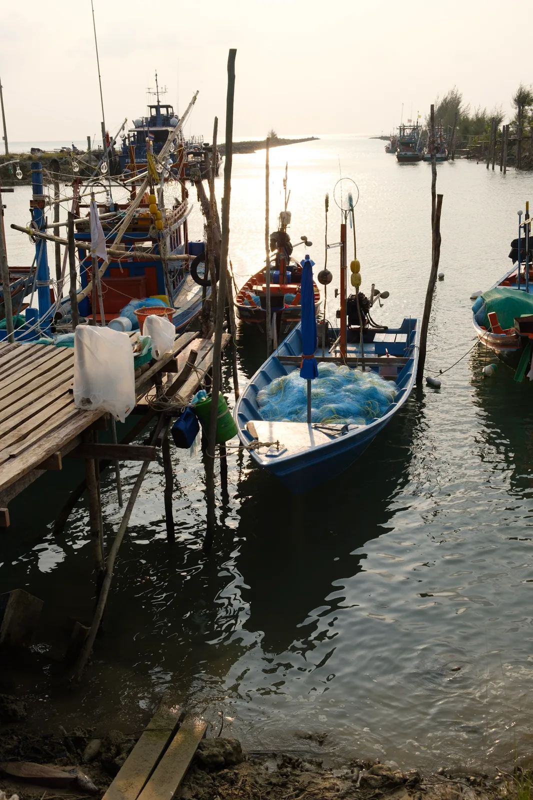 TODO — description de 2018-02-thailande-34.webp