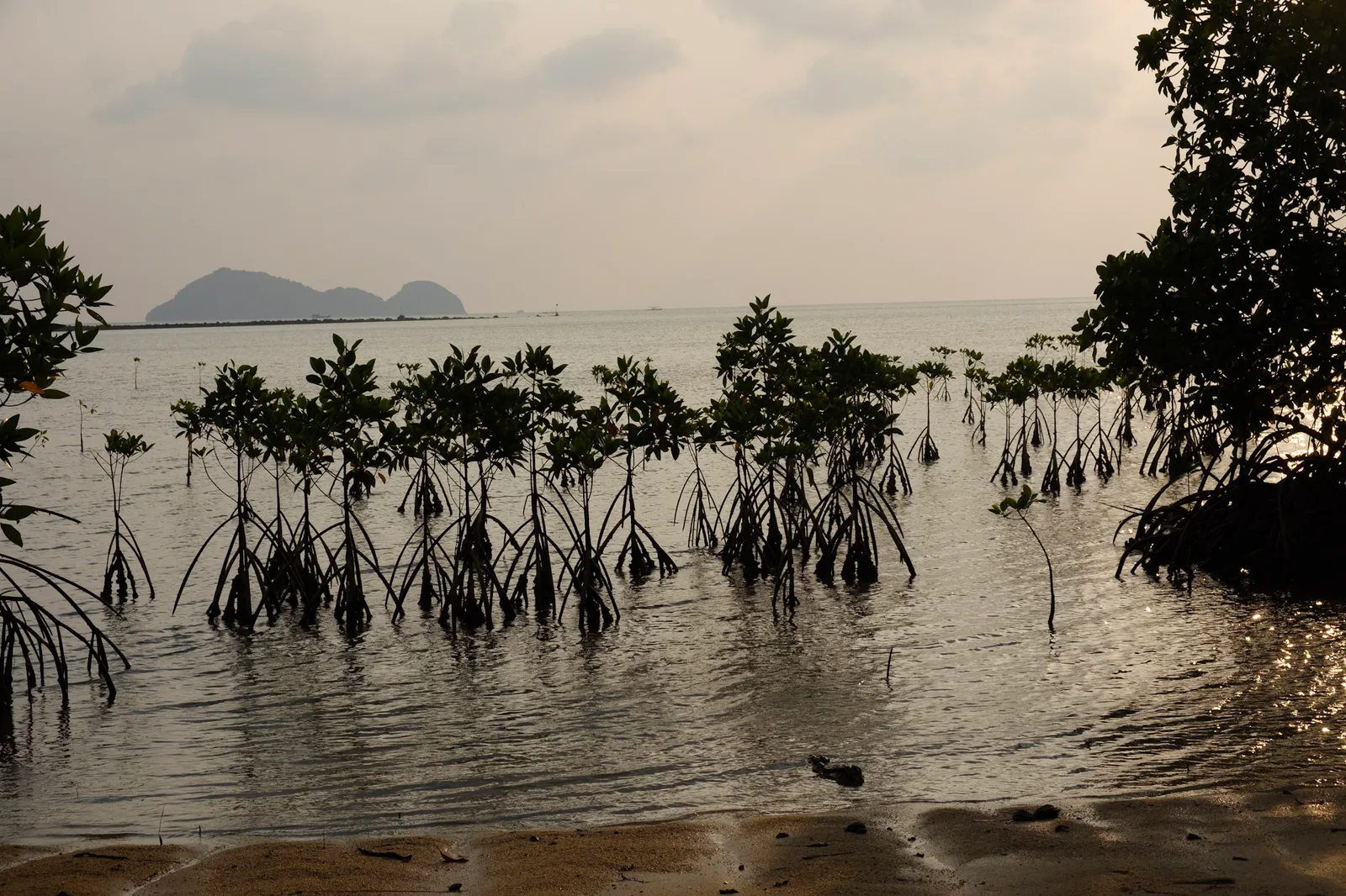 TODO — description de 2018-02-thailande-35.webp