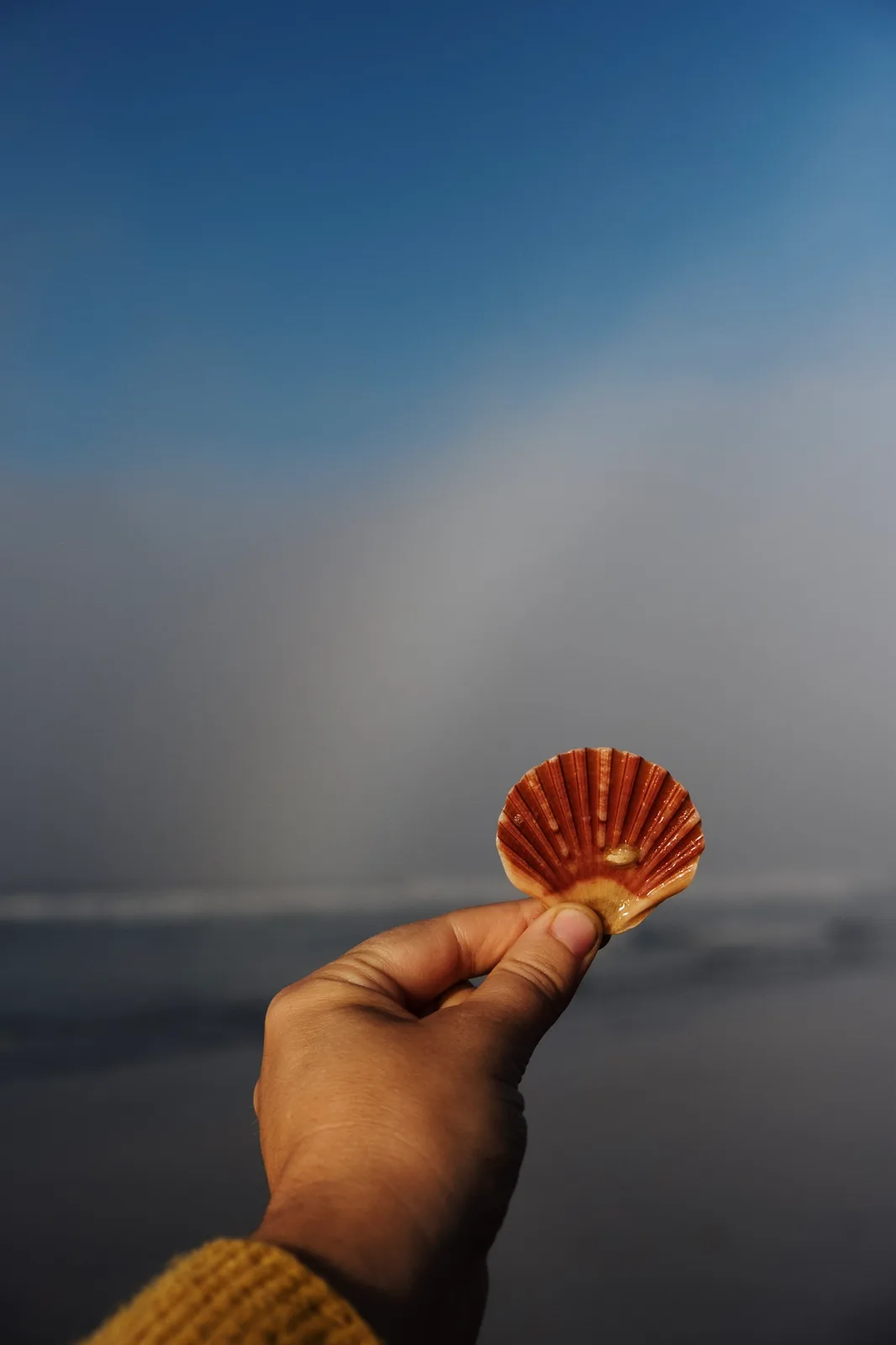 TODO — description de 2019-10-andalousie-05.webp