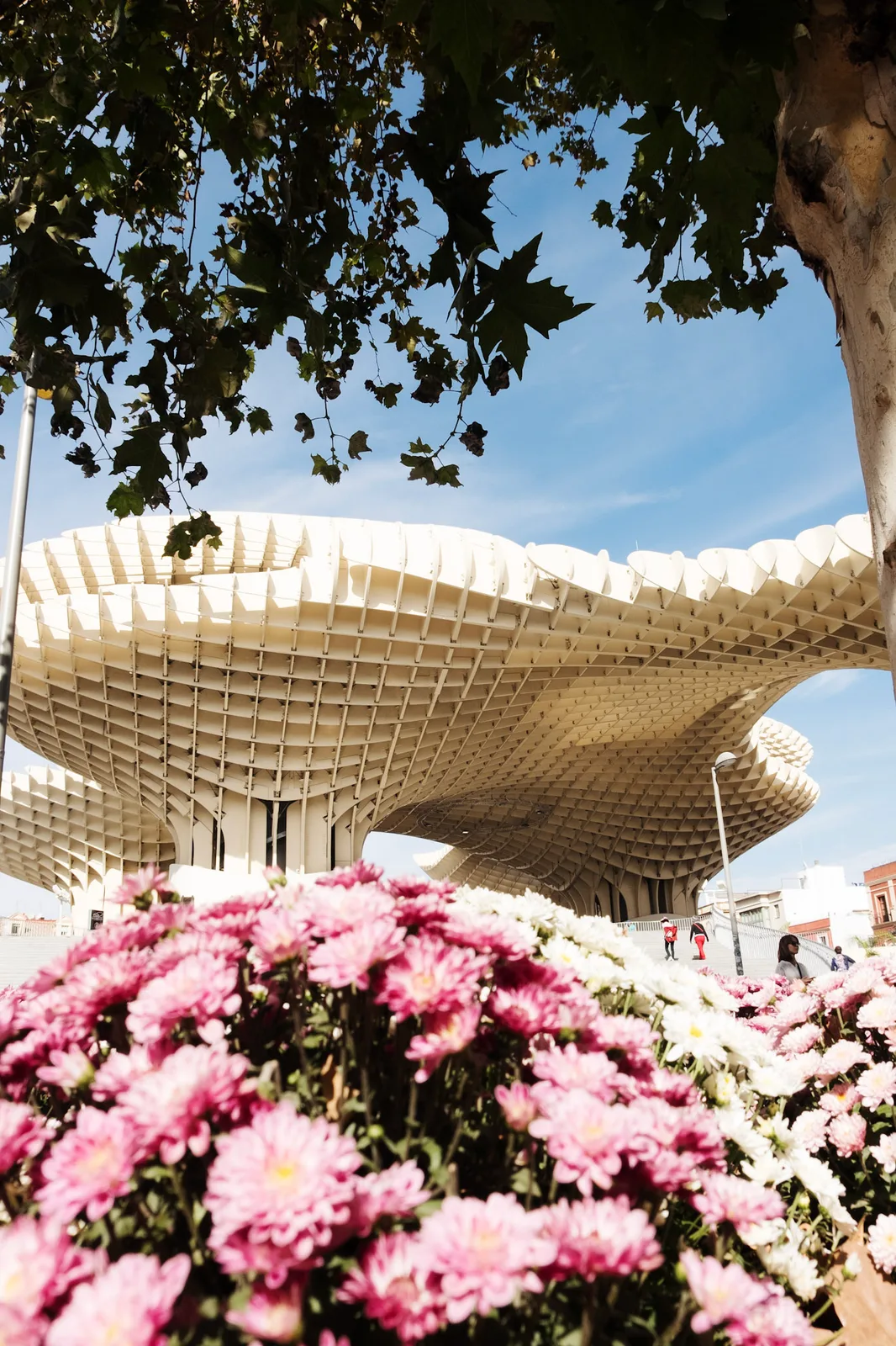 TODO — description de 2019-10-andalousie-24.webp