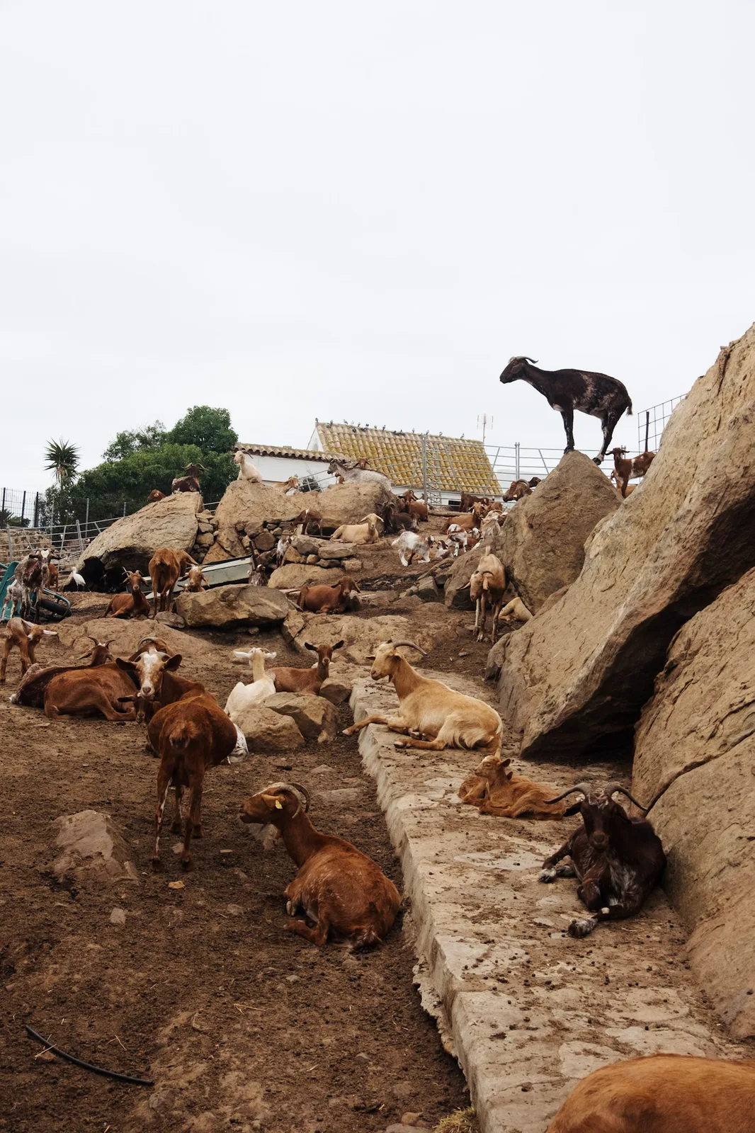 TODO — description de 2019-10-andalousie-30.webp