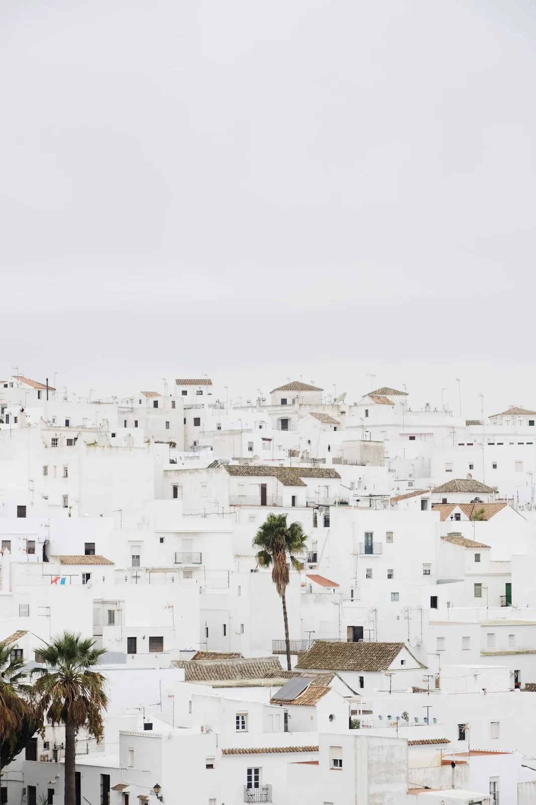 TODO — description de 2019-10-andalousie-36.webp