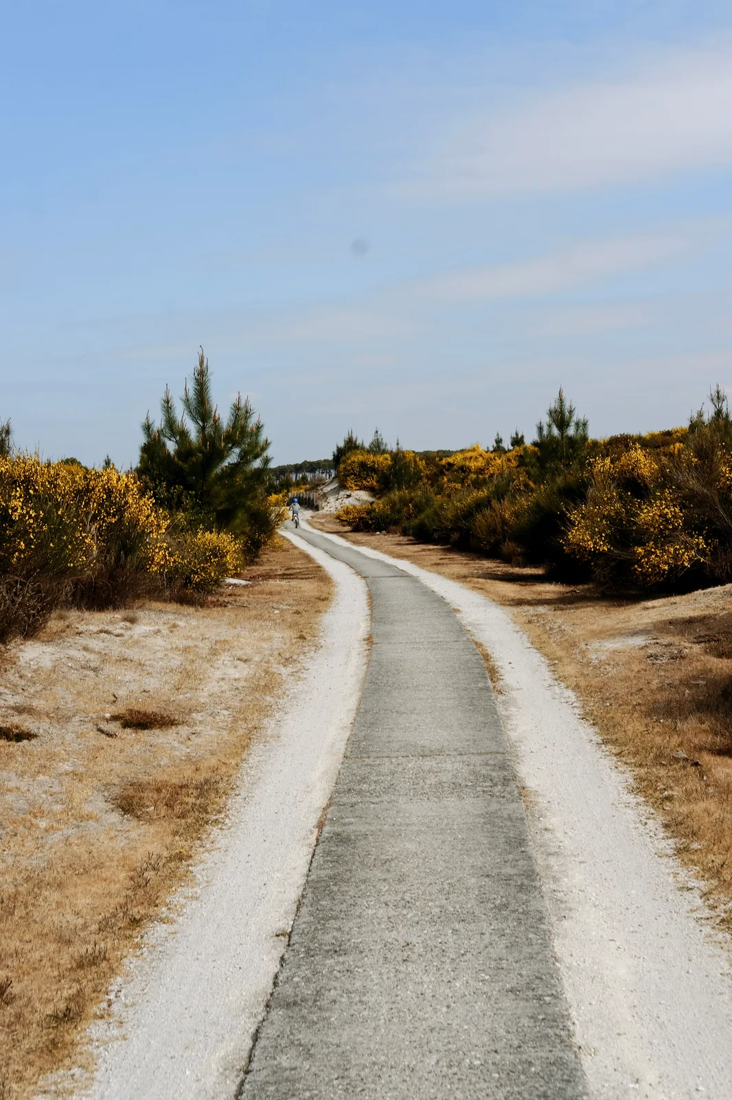 TODO — description de 2021-04-lacanau-oceanide-05.webp