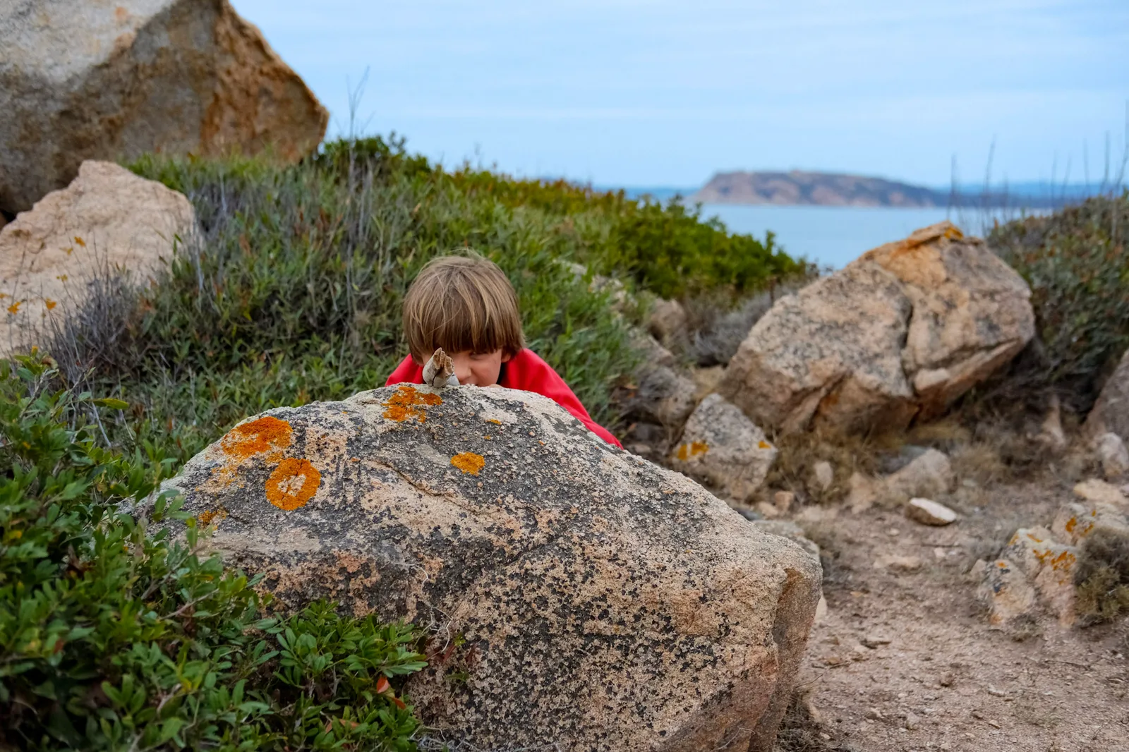 TODO — description de 2021-10-sardaigne-02.webp