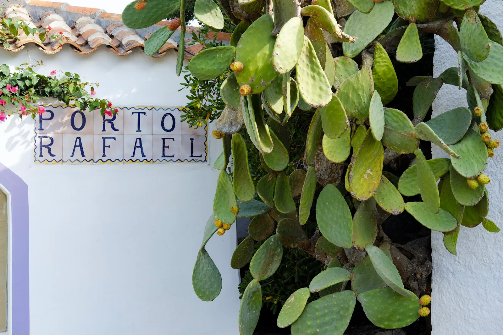 TODO — description de 2021-10-sardaigne-05.webp