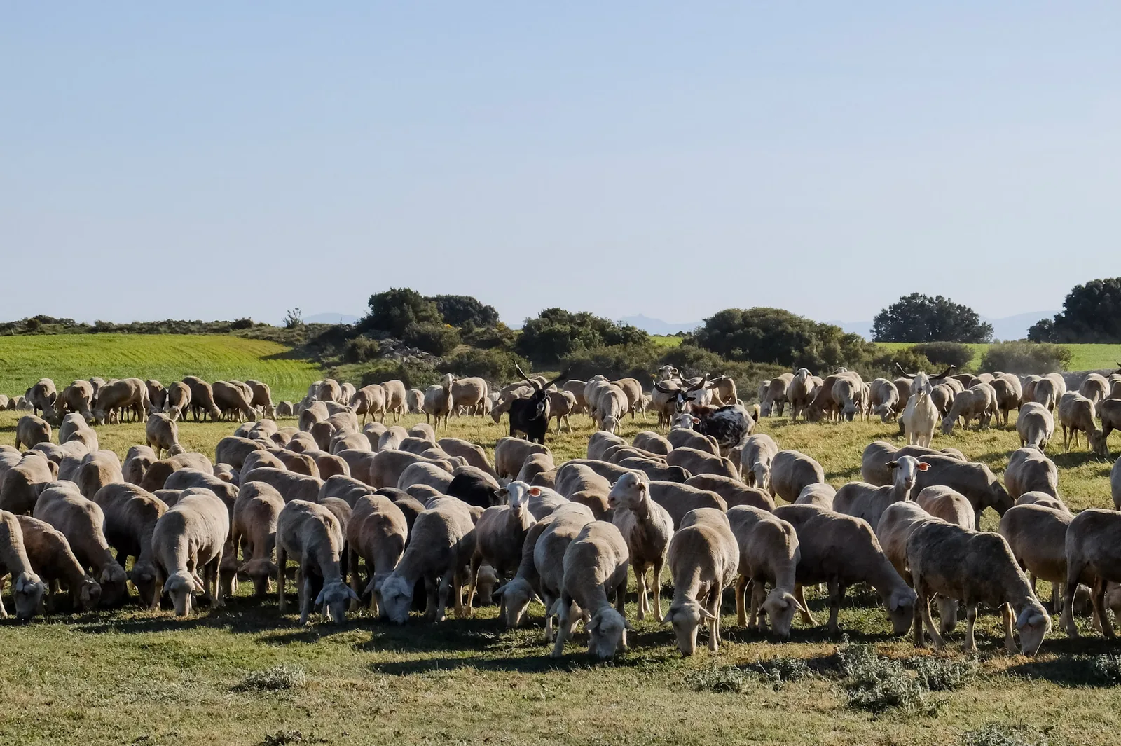 TODO — description de 2022-04-espagne-ebre-09.webp