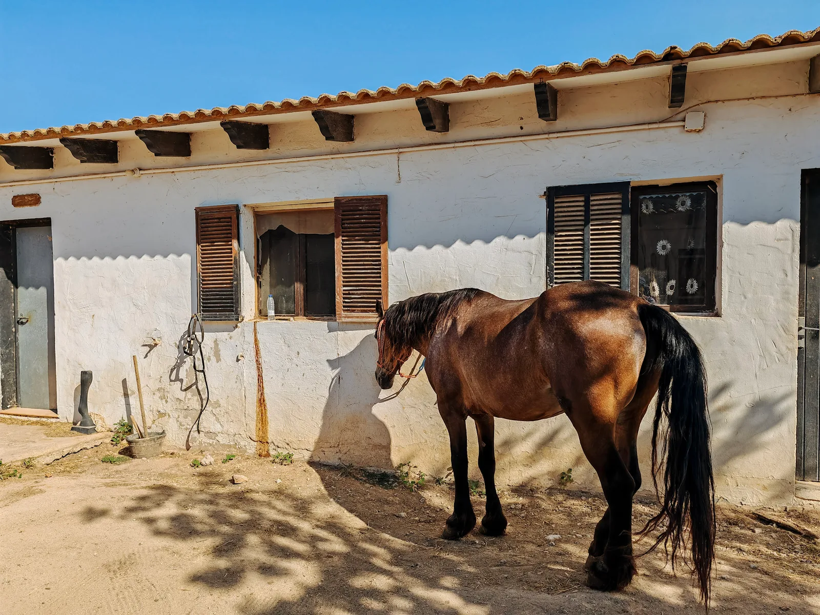 TODO — description de 2023-08-majorque-03.webp