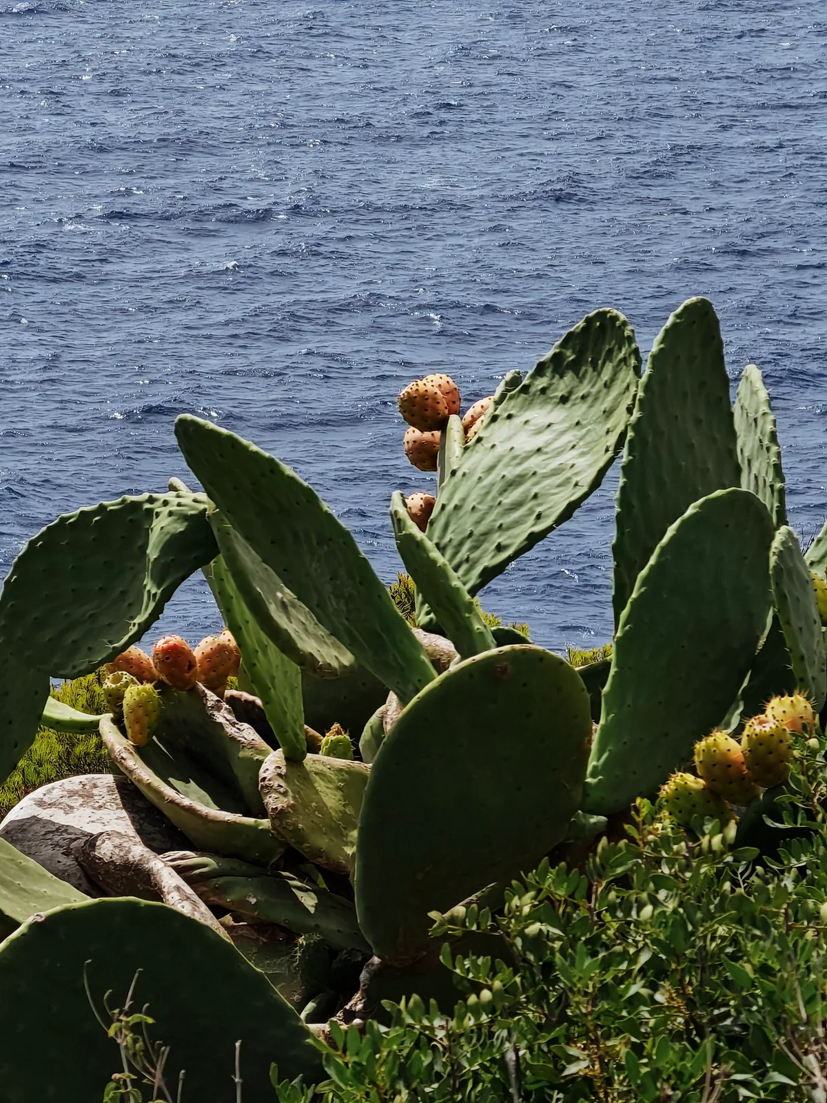 TODO — description de 2023-08-majorque-13.webp