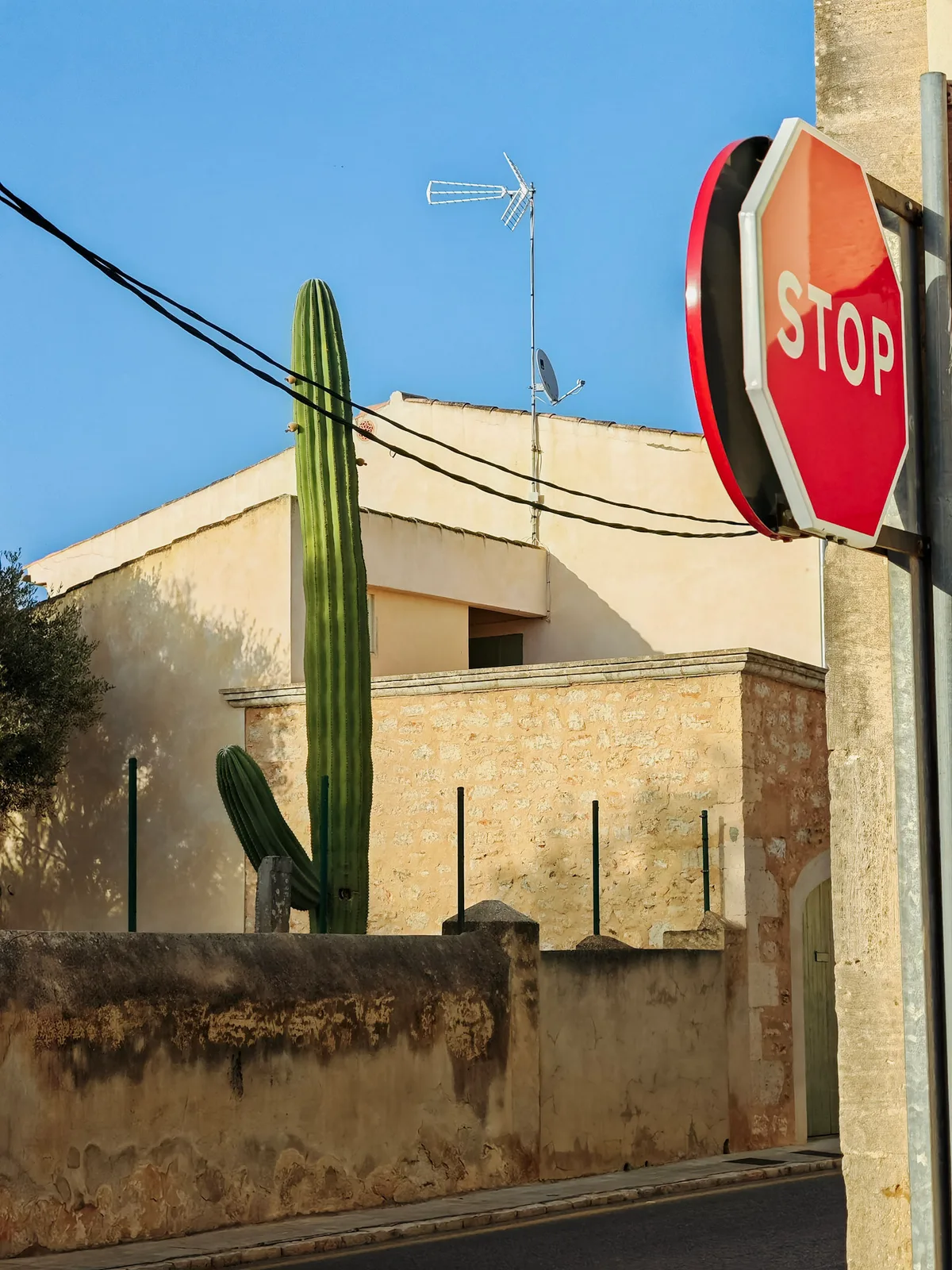 TODO — description de 2023-08-majorque-14.webp