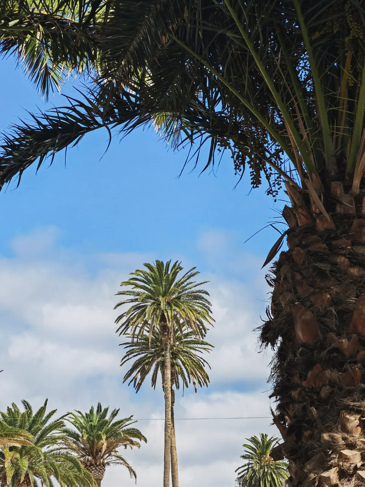 TODO — description de 2024-02-lanzarote-04.webp