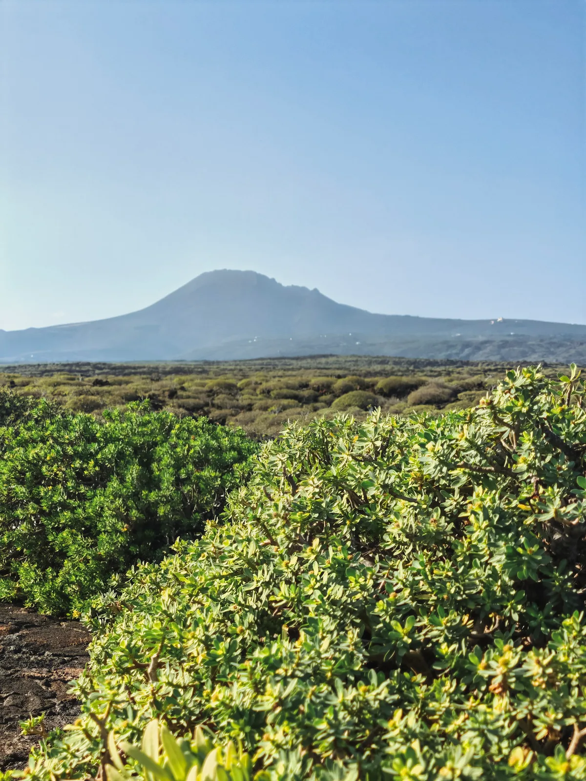 TODO — description de 2024-02-lanzarote-14.webp