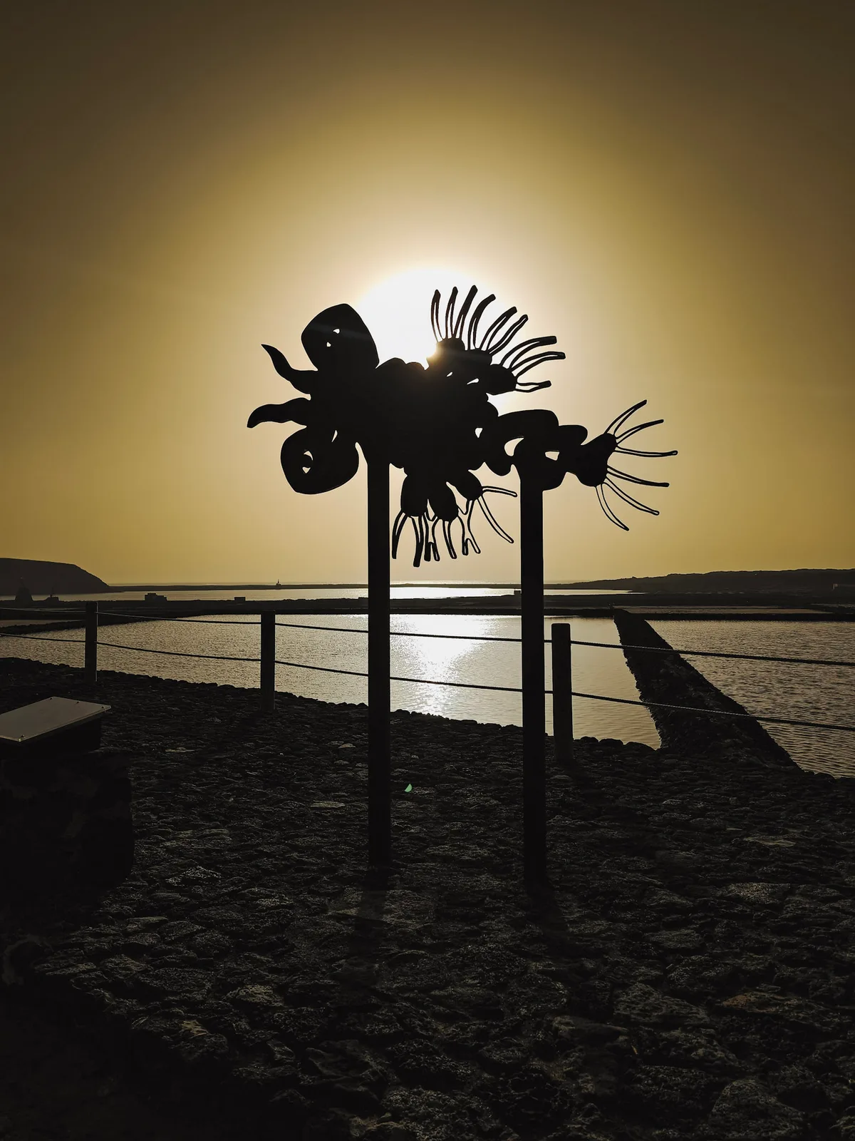 TODO — description de 2024-02-lanzarote-31.webp
