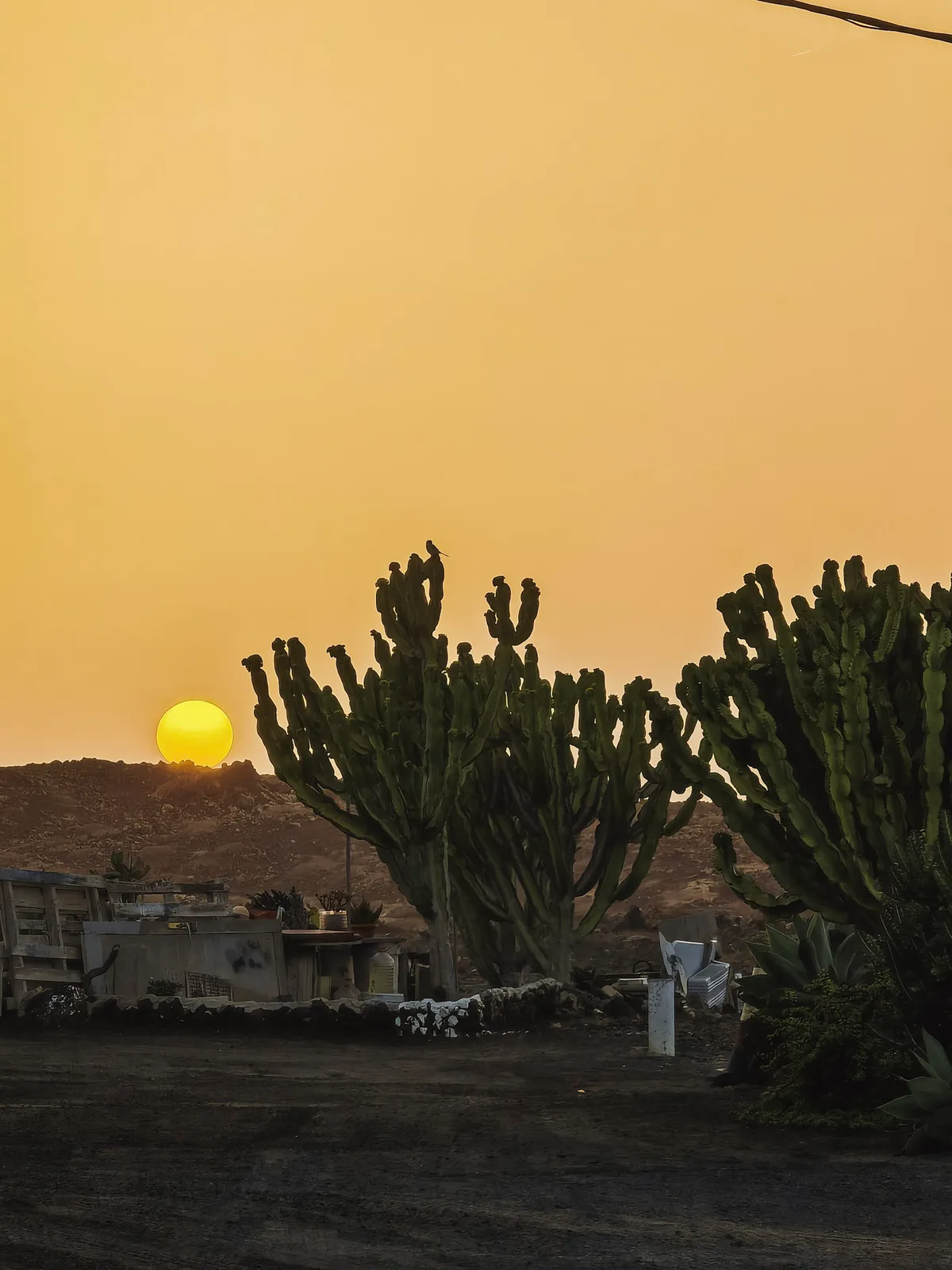 TODO — description de 2024-02-lanzarote-35.webp