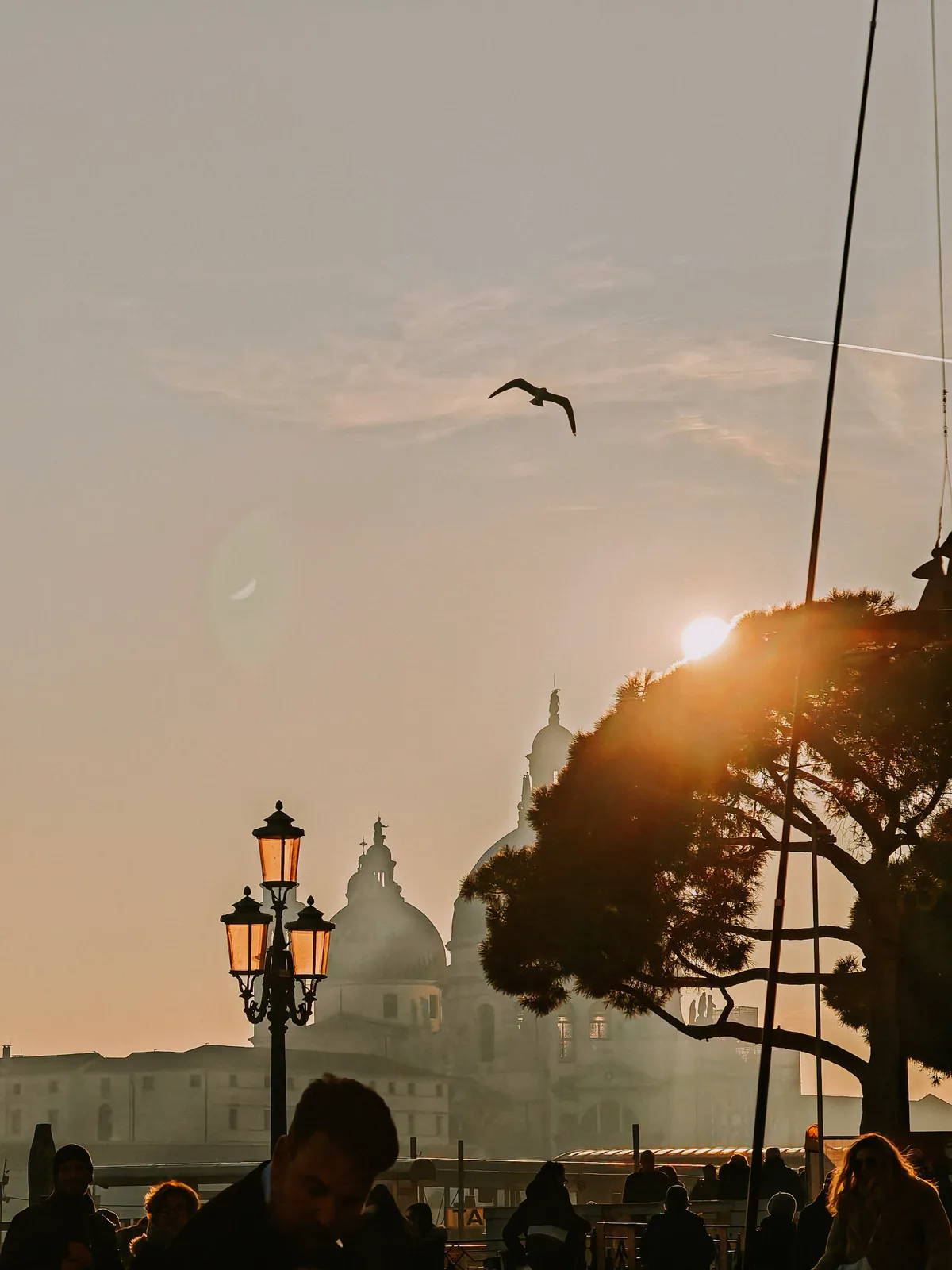 TODO — description de 2024-02-venise-35.webp