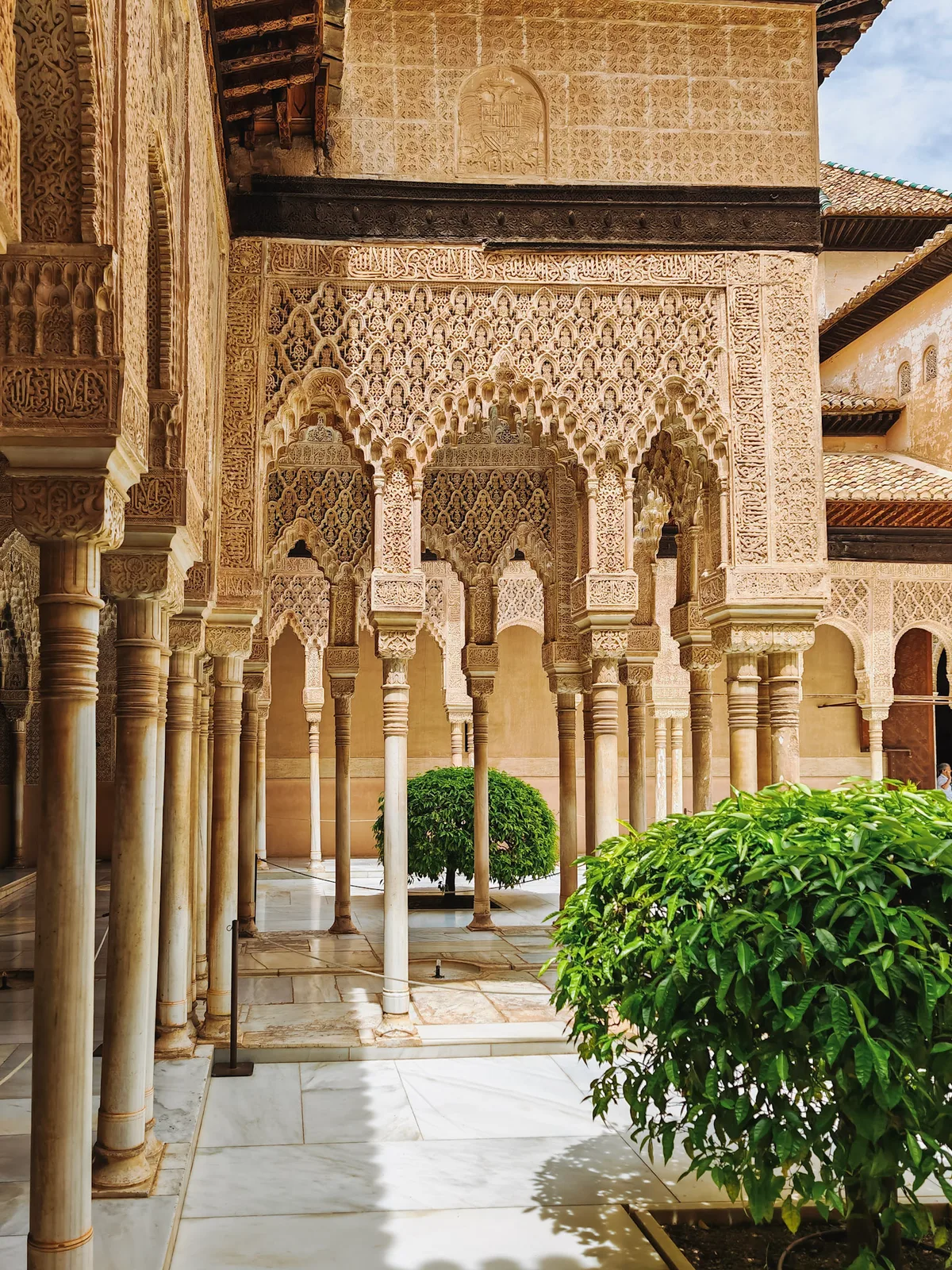 TODO — description de 2024-05-seville-23.webp