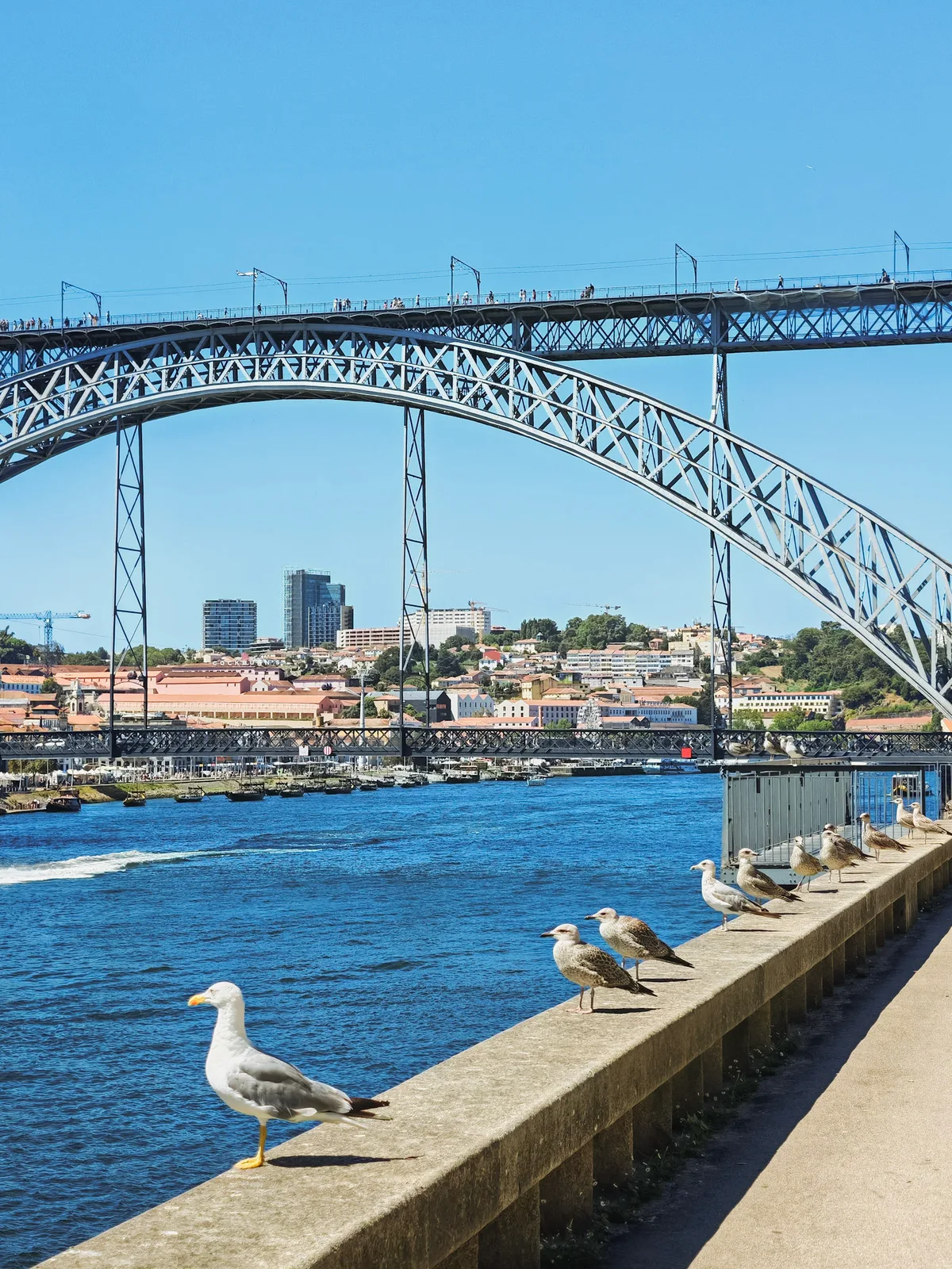 TODO — description de 2024-08-porto-13.webp