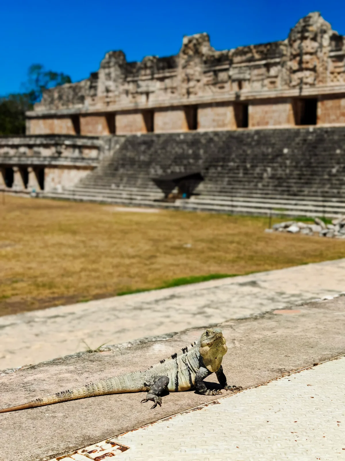 TODO — description de mexique-2025-16.webp