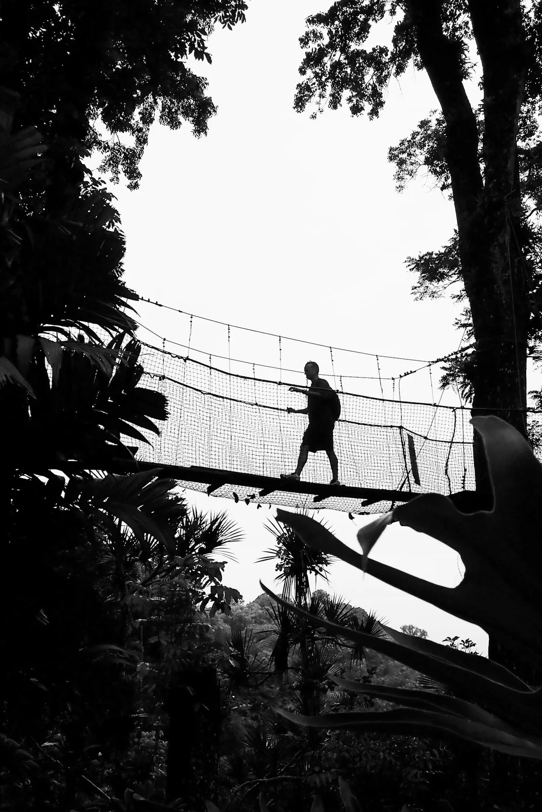 TODO — 2026-04-martinique-21.webp