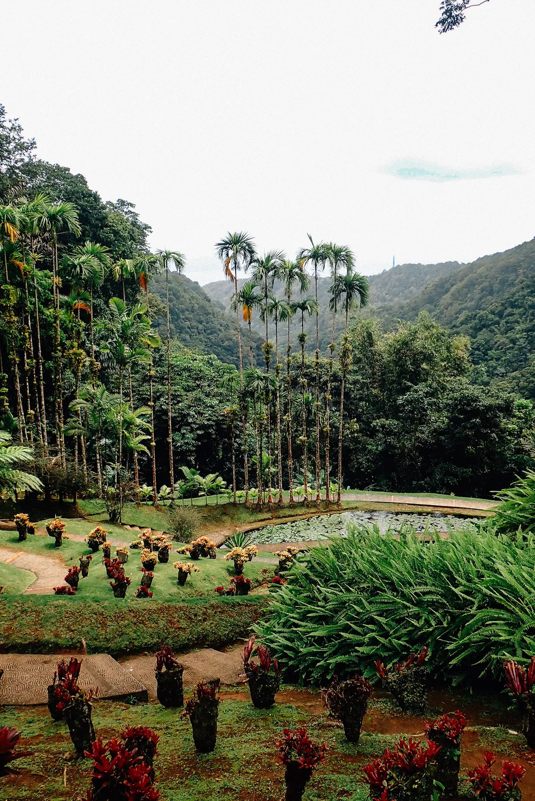 TODO — 2026-04-martinique-23.webp