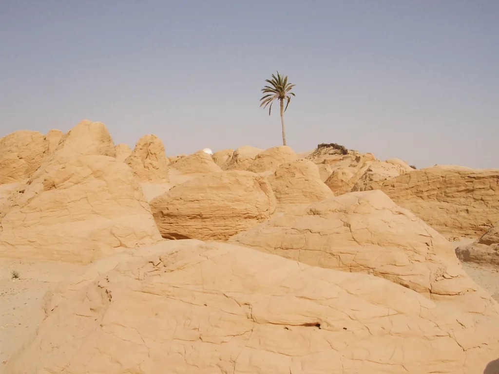 Tunisie, la lumière en mémoire