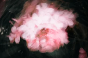 Semaine 4