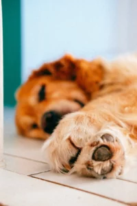 Semaine 7